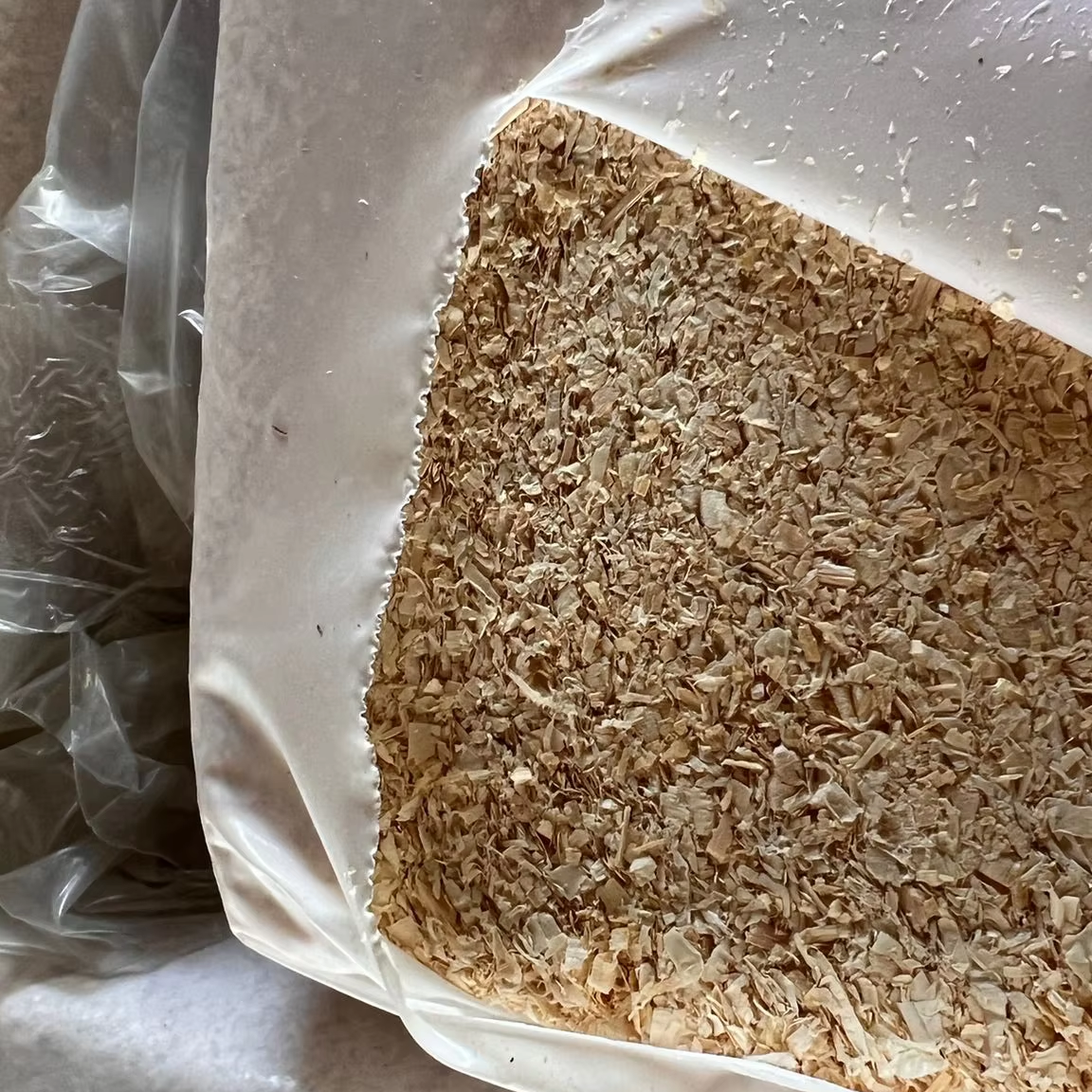 100% Natural Pine Wood Shavings Dust-Free 100x100 Large Leaves 20kg Bag for Horse Bedding & Pet Carriers Travel Products