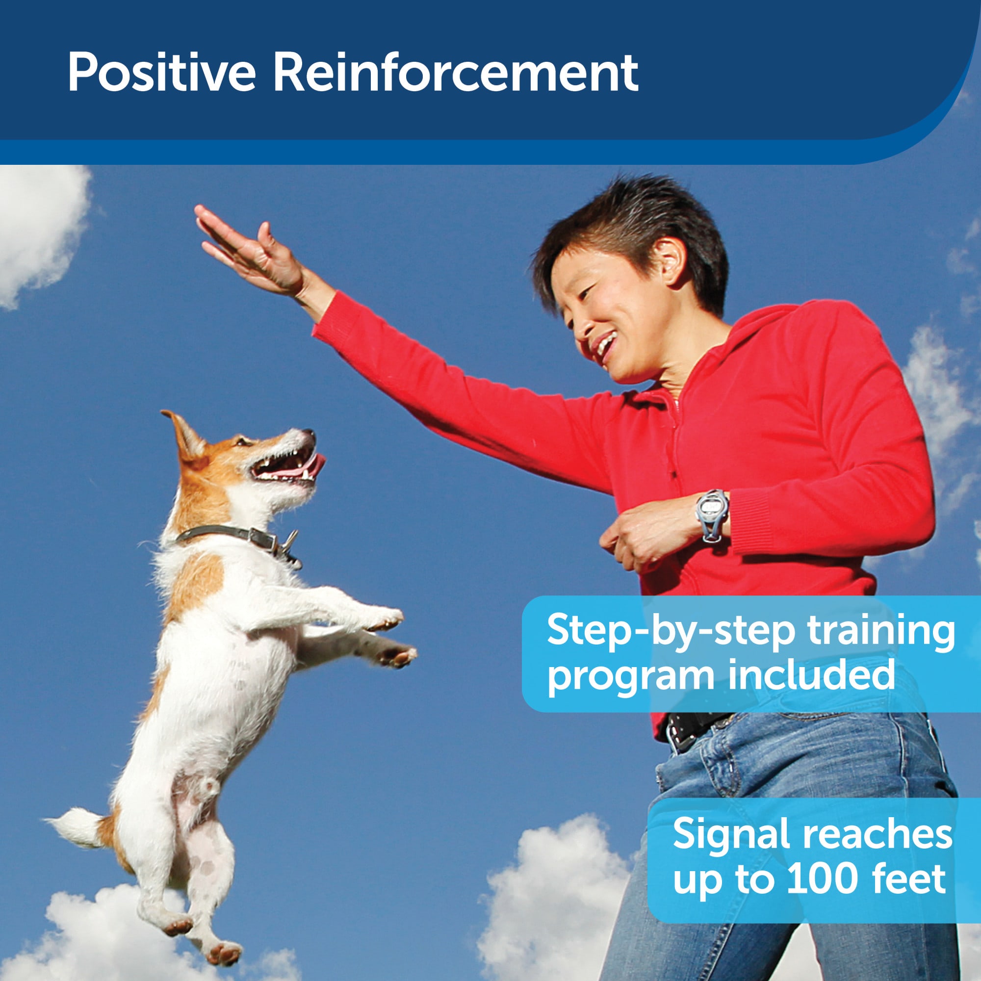 PetSafe Treat & Train Manners Minder Remote Reward Dog Trainer
