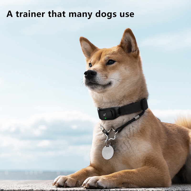 Dogs Electronic Bark Control dog training collar Waterproof Color ScreenStop Barking Anti Bark Dog Collar