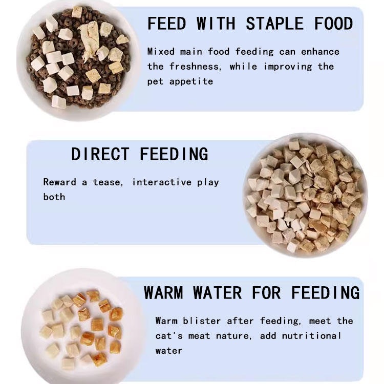 OEM Bulk Pet Food Wholesale Factory Nutrition Natural Premium Dry Cat Food Freeze-dried Snack