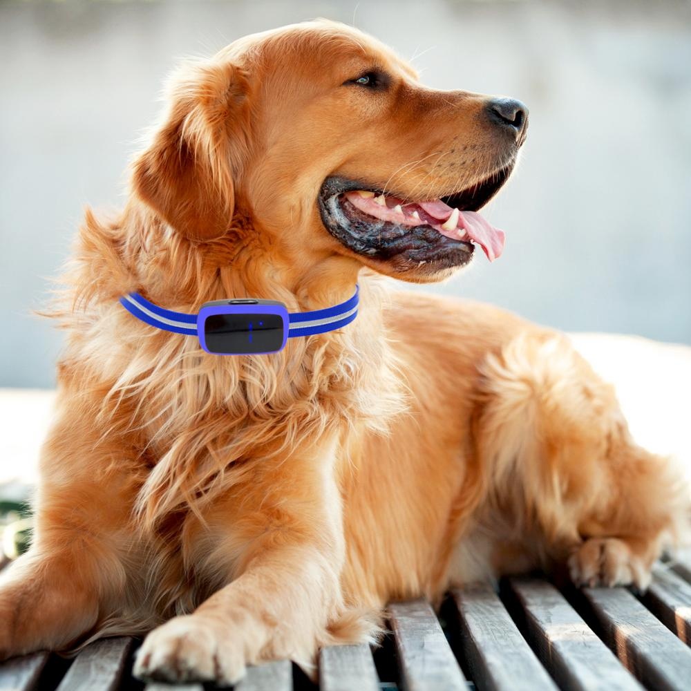 New Product LED Display Electronic Dog Trainer Adjustable Sensitivity Stop barking dog shock collar