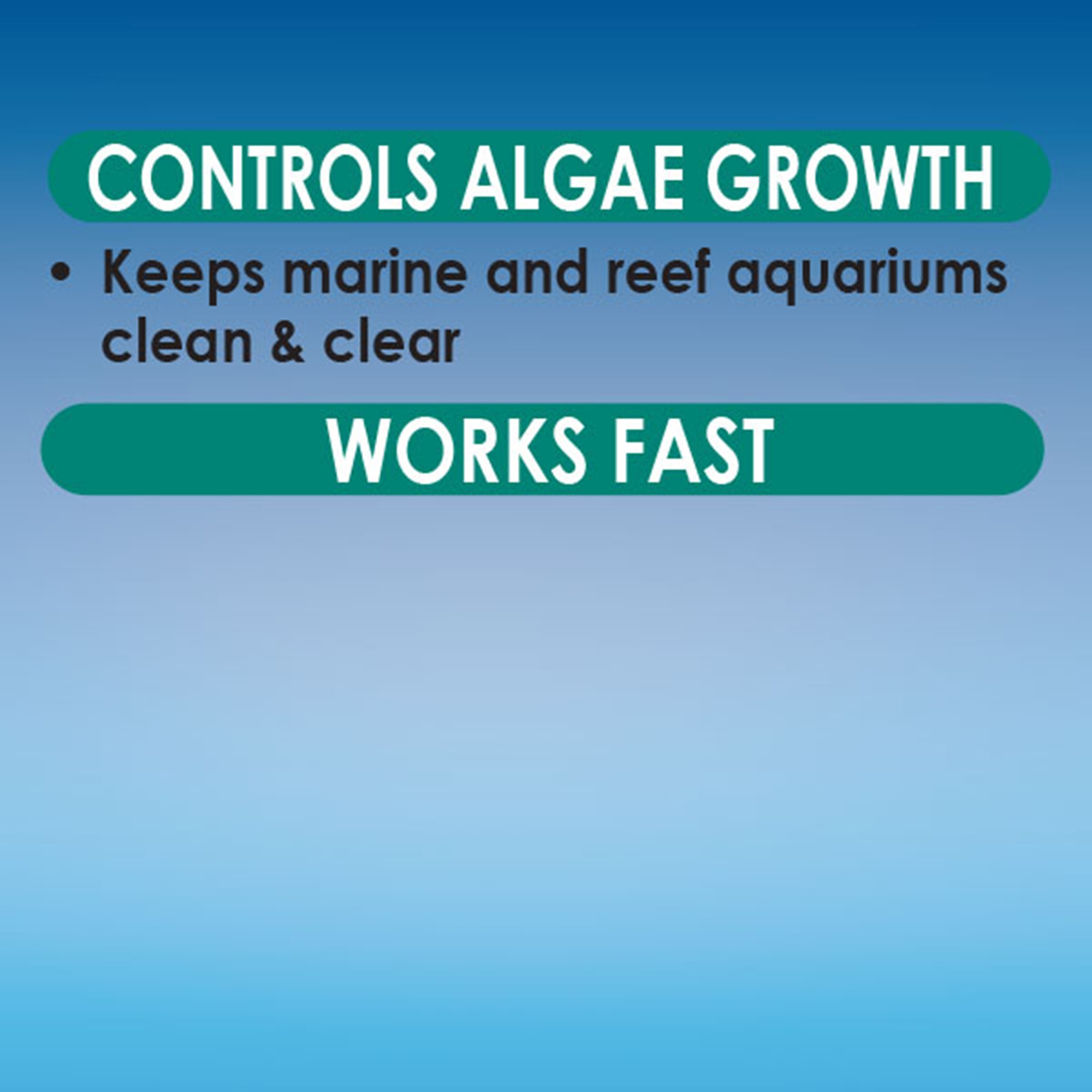 API AlgaeFix Marine Aquarium Algaecide, 16 oz.