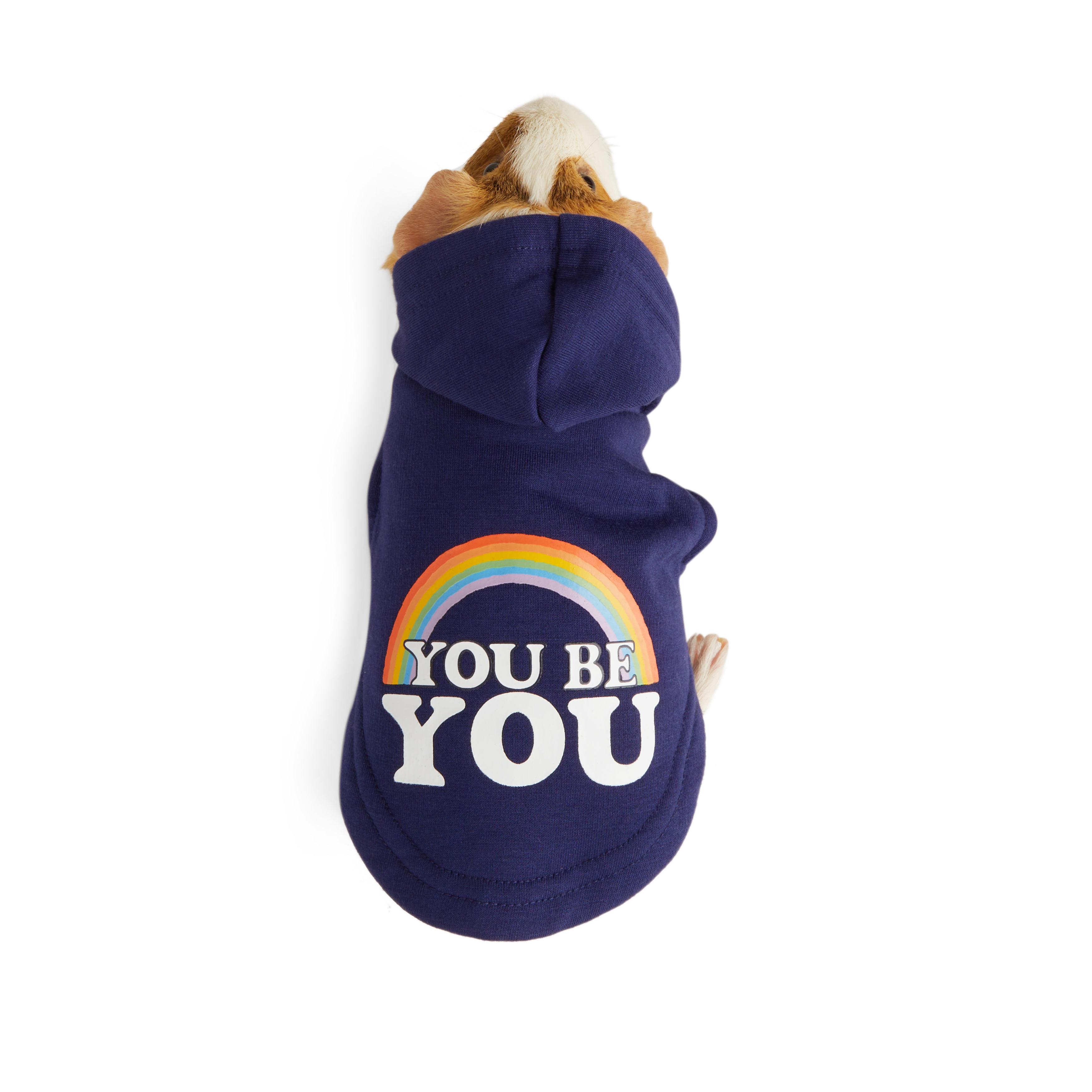 YOULY Be You Small Animal Dog Hoodie, Blue