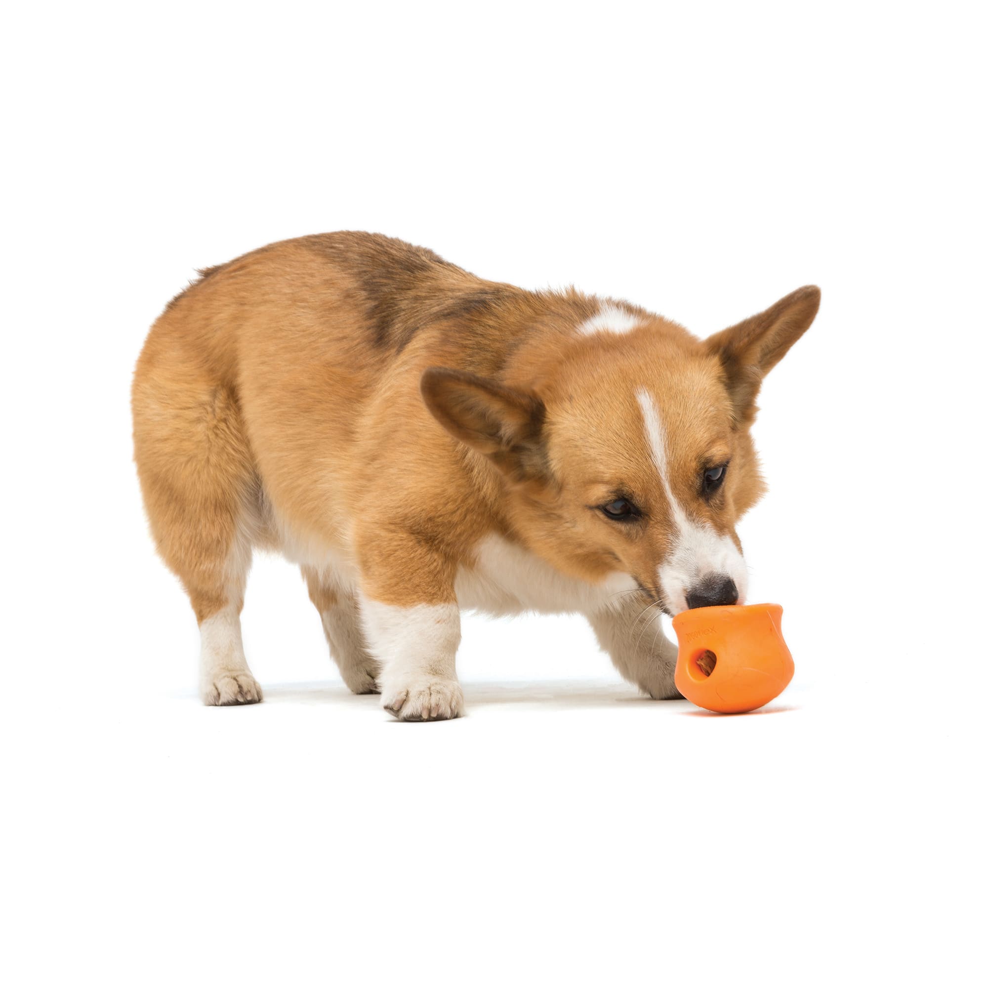 West Paw Toppl Assorted Color Dog Toy, Small