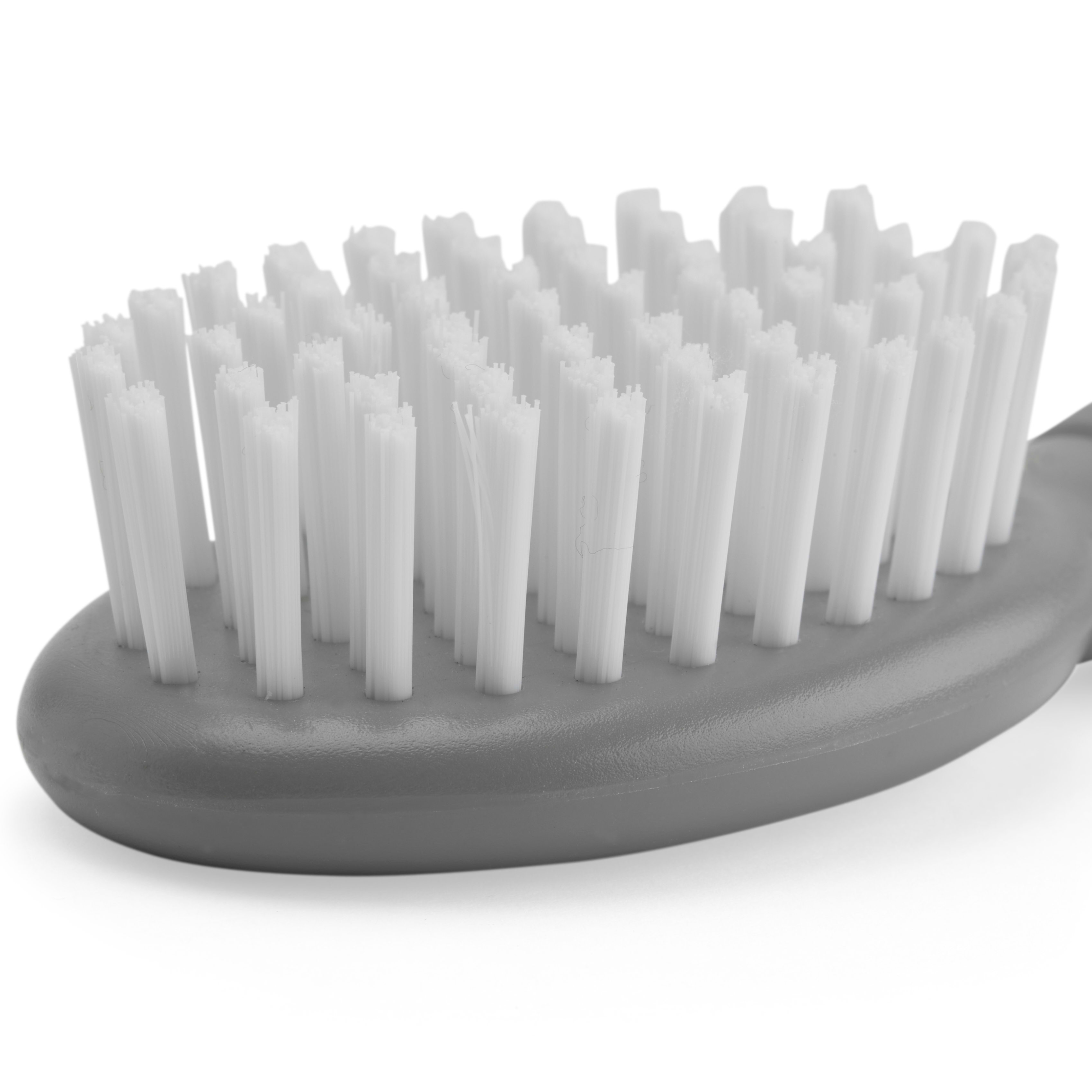 EveryYay Lookin' Spiffy Small Animal Bristle Grooming Brush, 6.5" L
