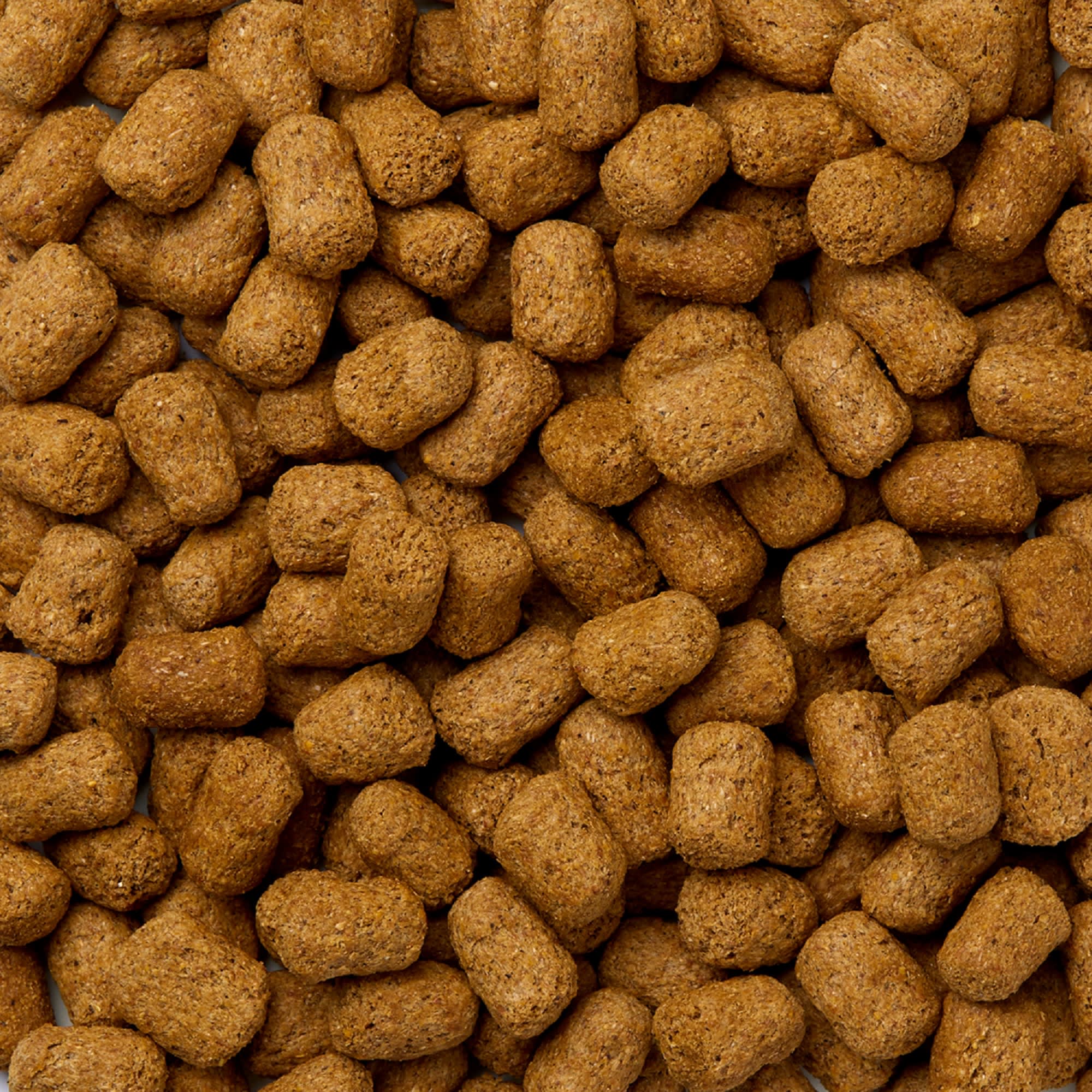 Mazuri Tortoise Food, 1.25 lbs.