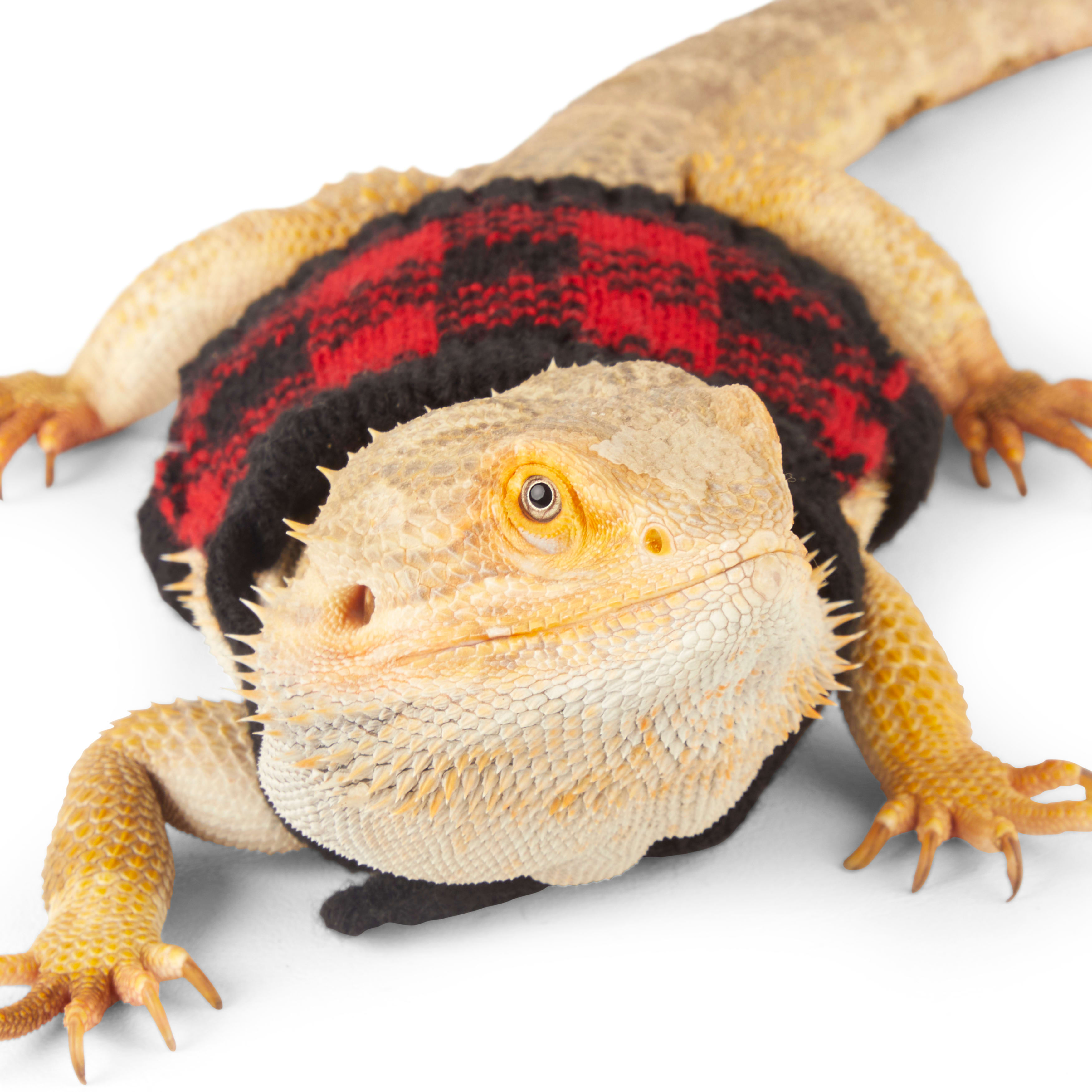 Merry Makings Buffalo Check Sweater for Reptiles, Red