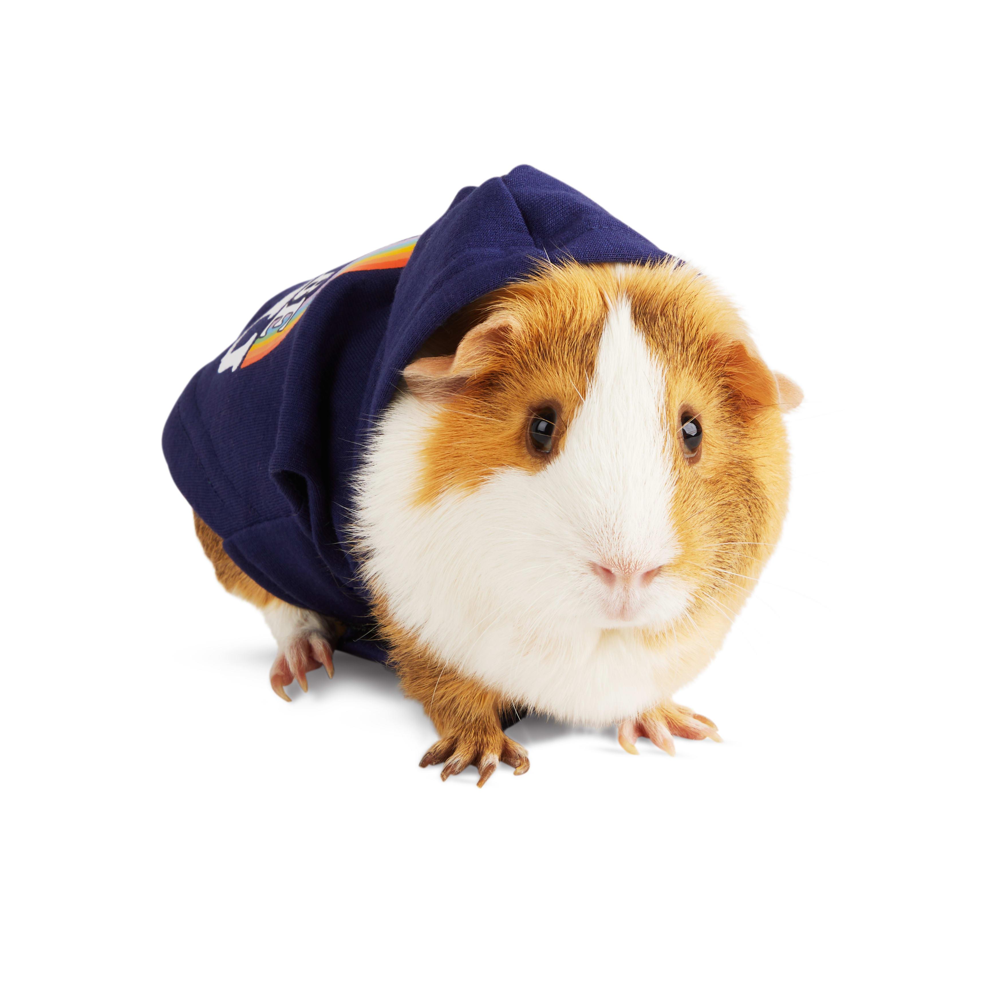 YOULY Be You Small Animal Dog Hoodie, Blue