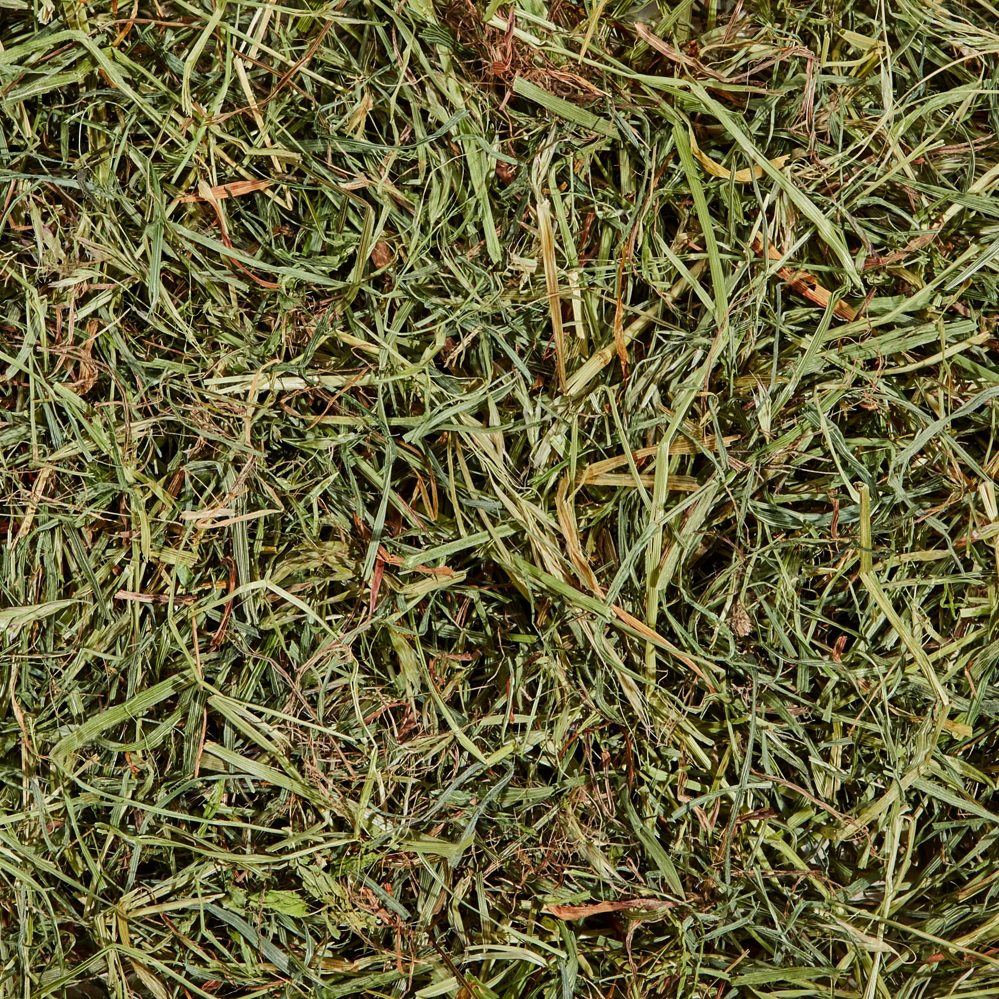 Kaytee Orchard Grass - 24oz