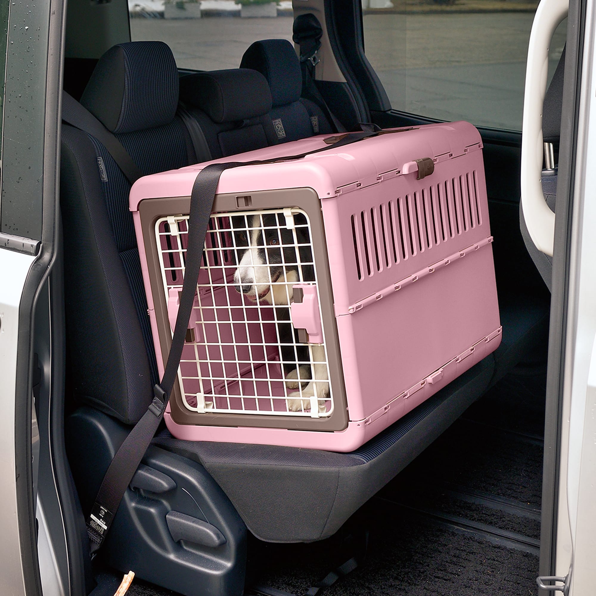 Richell Pink/Brown Foldable Pet Carrier, 17.5" L X 26.5" W X 20" H