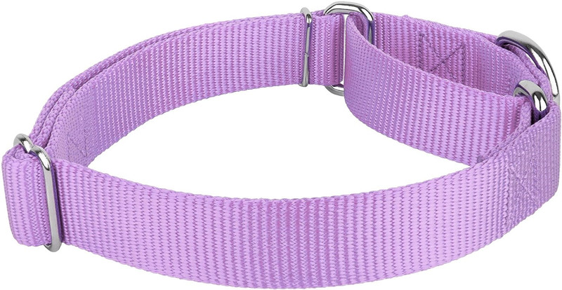 Wholesale China Pet Collars Adjustable Nylon Heavy Duty Martingale Dog Collar For Dogs walking jogging training