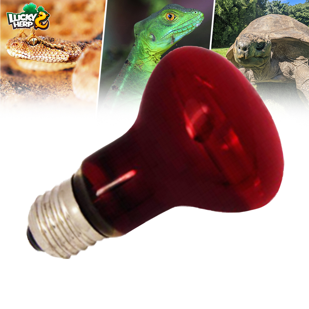 60W 100w banet reptiles red light bulb nocturnal infrared nighttime spot heat lamp for turtles beard dragon and red eared slider