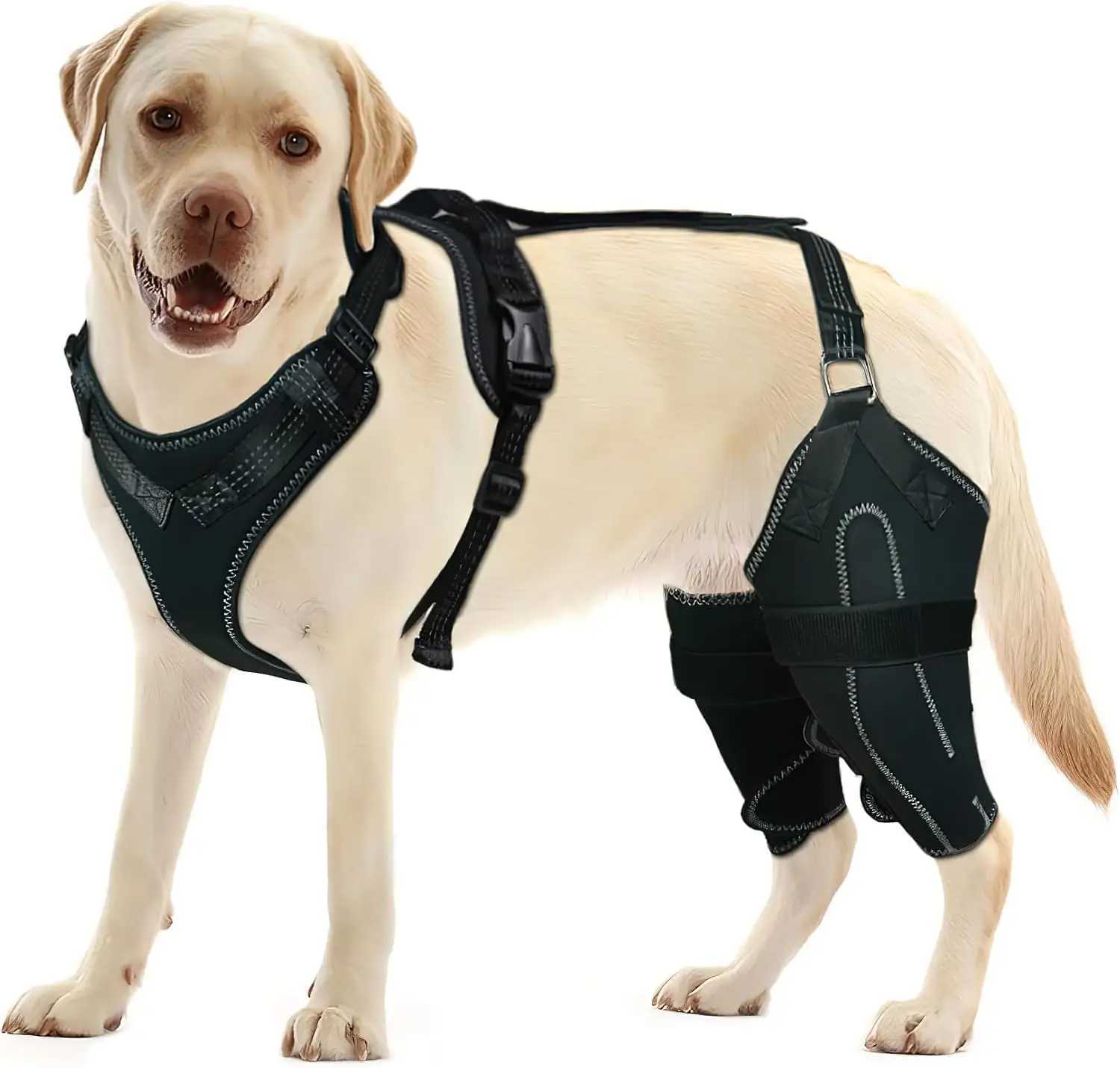 Dog knee brace for tearing Acl legs used to warm joints and relieve joint pain in the back for better recovery X241125