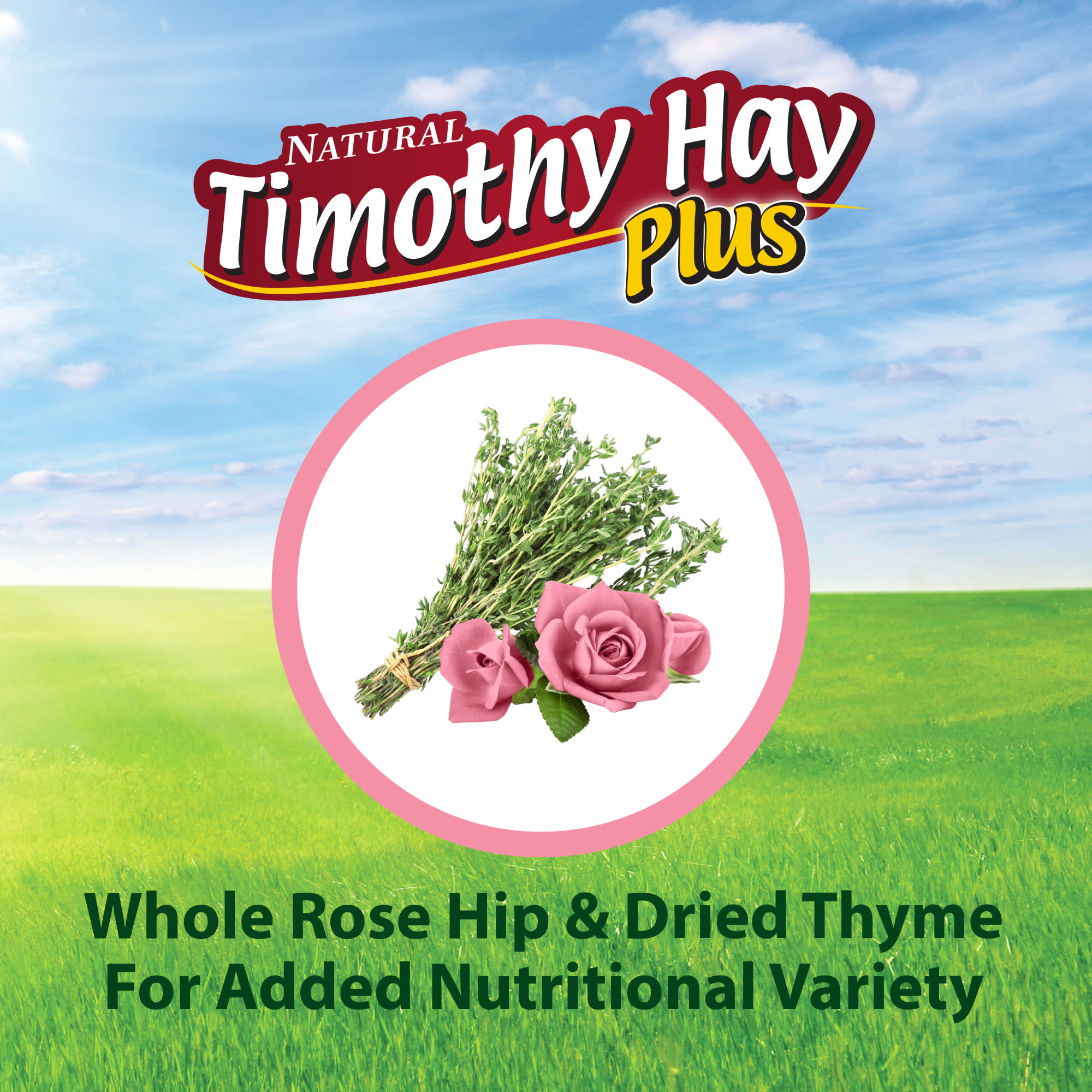 Kaytee Timothy Hay Plus Rose & Thyme for Small Animals, 24 oz.