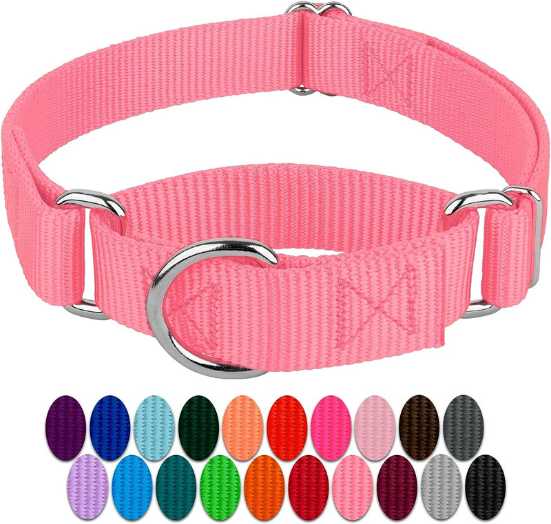 Wholesale China Pet Collars Adjustable Nylon Heavy Duty Martingale Dog Collar For Dogs walking jogging training
