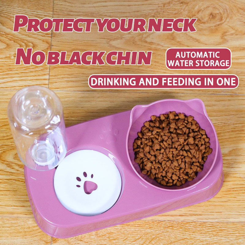 Hot selling new 2 in 1 automatic drinking water feeding cat bowl plastic pet bowl