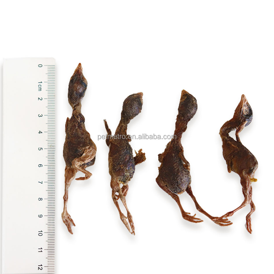 Hot sale Freeze-dried quail pet snacks cat and dog teething training food