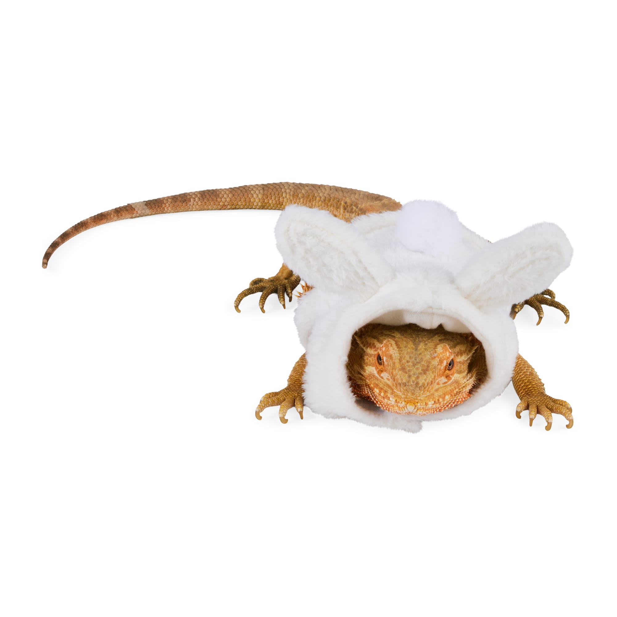 YOULY Easter Bearded Dragons Bunny Hoodie