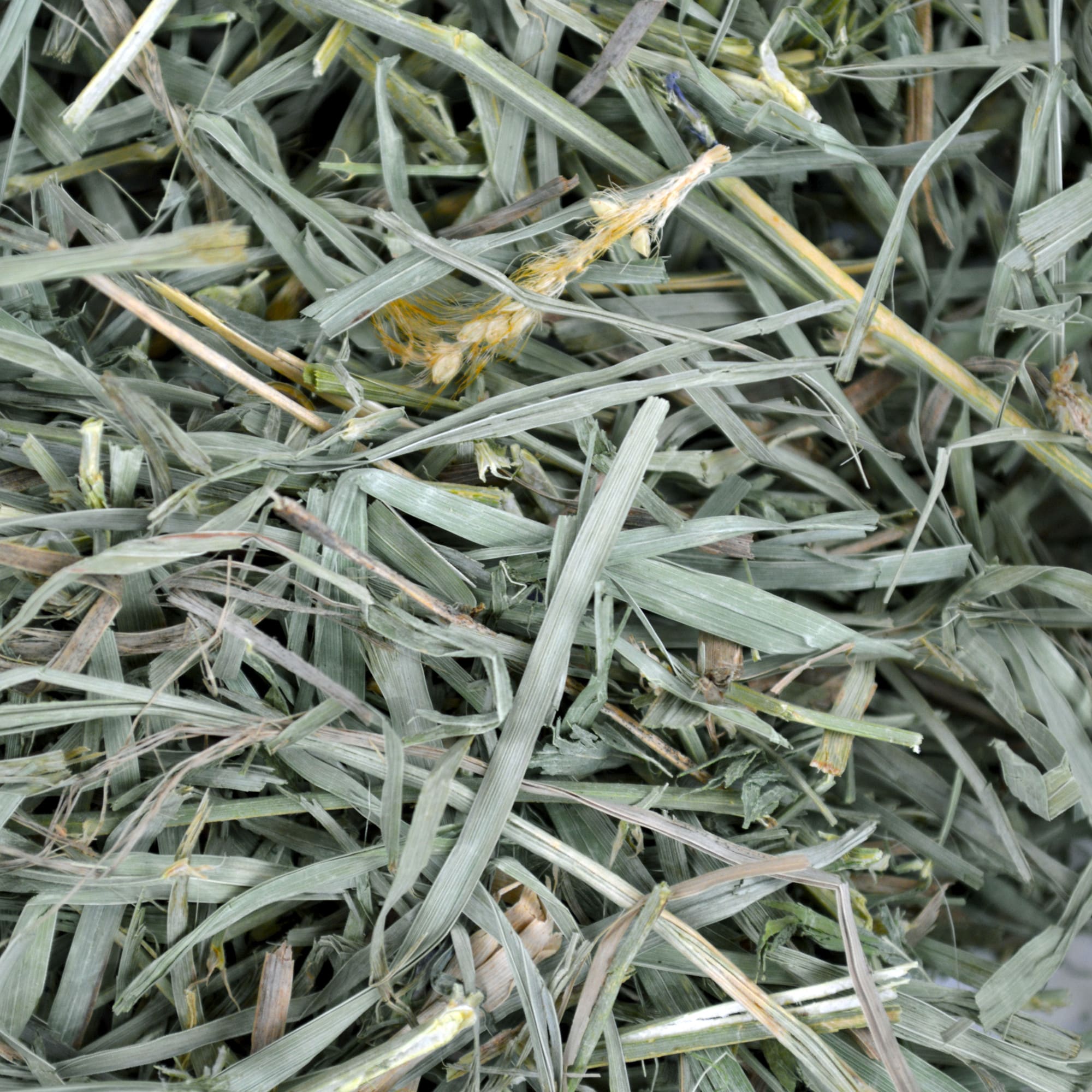 Oxbow Organic Meadow Hay for Rabbit, 40 oz.