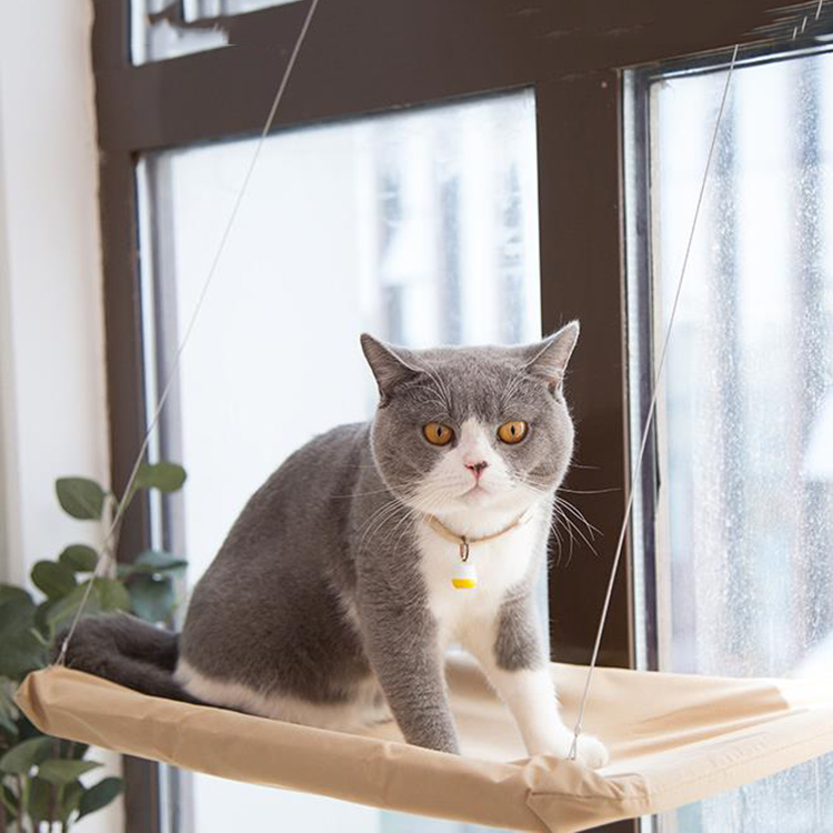 New Fashion Safety Suction Waterproof PVC Mesh Mat Cat Window Swing Bed Hammock