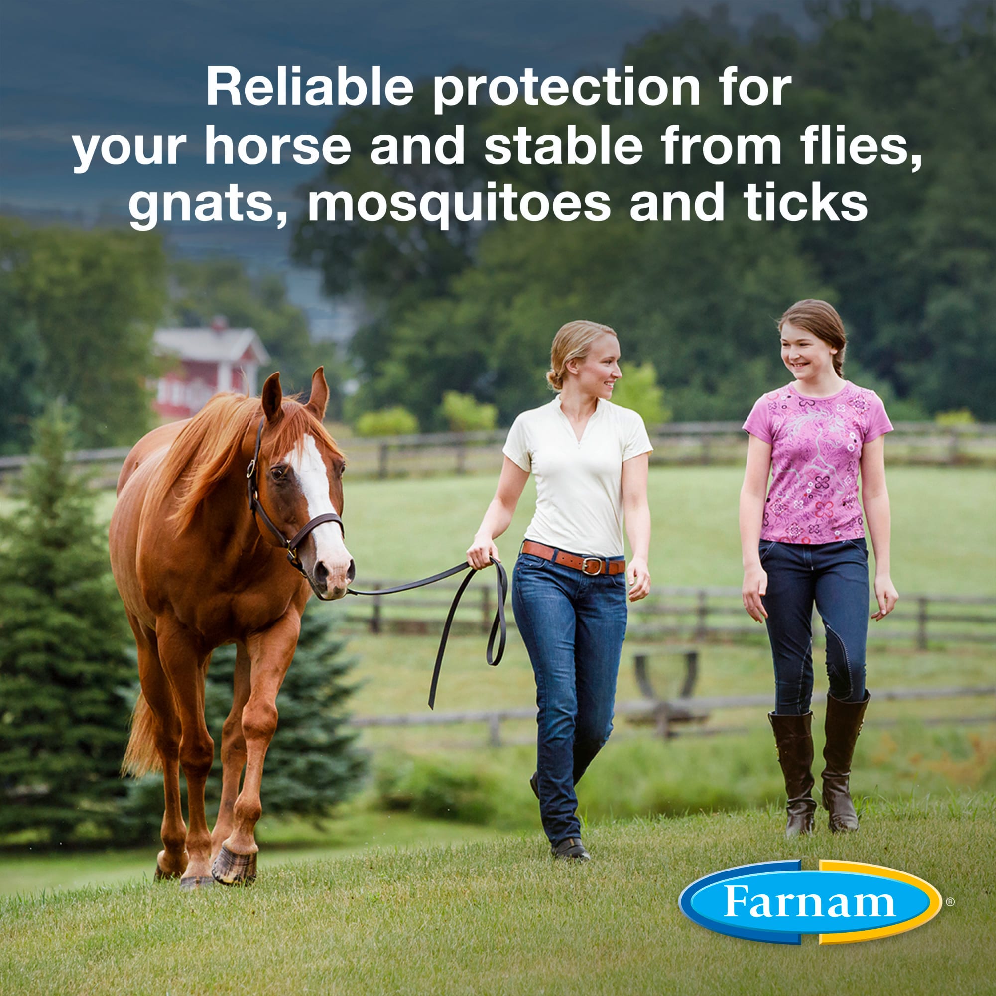 Farnam Broncoe Equine Fly Spray With Citronella Scent for Horses & Dogs, 128 fl. oz.