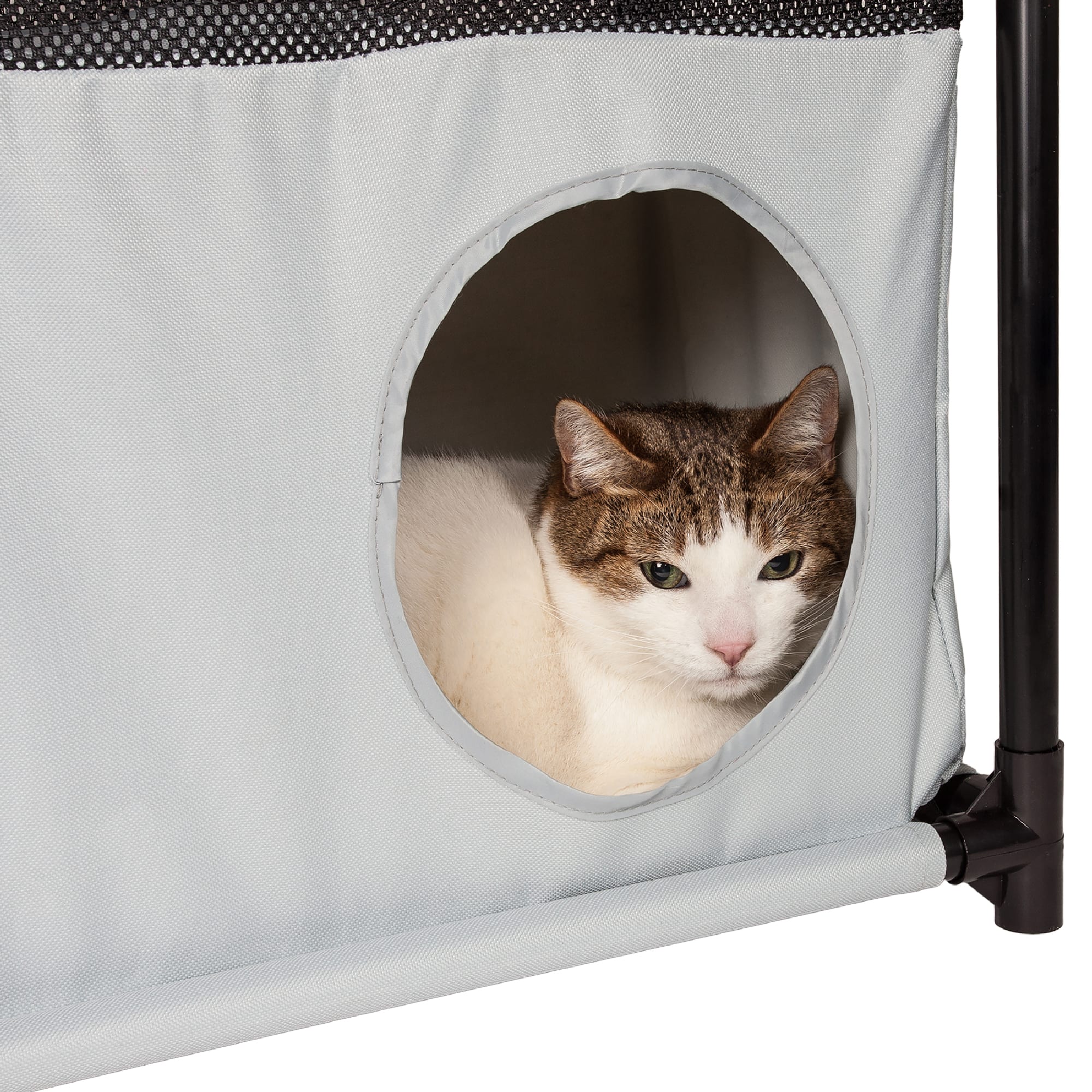 Pet Life Black Square Obstacle Soft Folding Sturdy Play-Active Collapsible Travel Cat House, 17.71" L X 11.81" W X 35.43" H