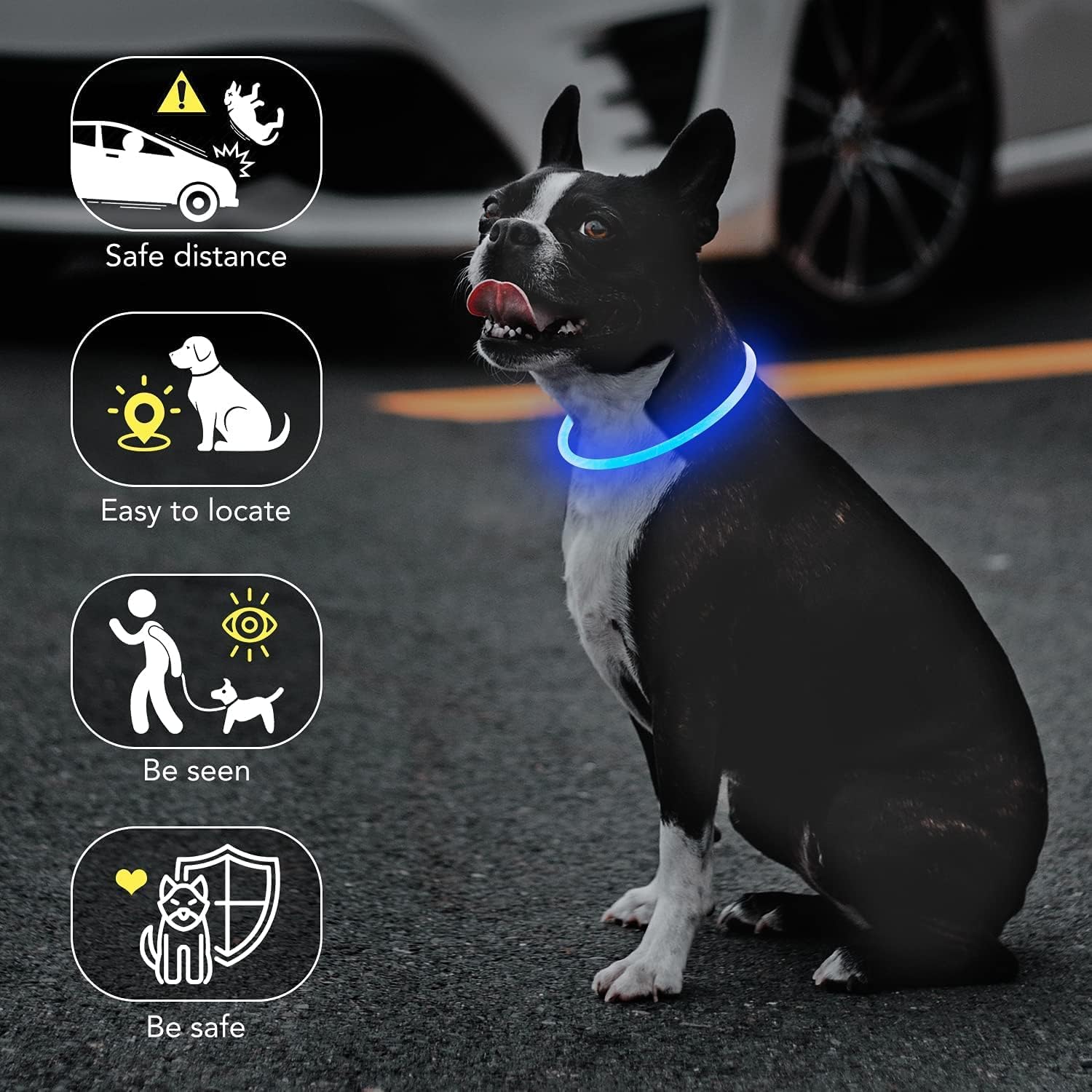 OEM Brightest Dog Collars USB Rechargeable Waterproof Light Up Dog Collar for Night Walking