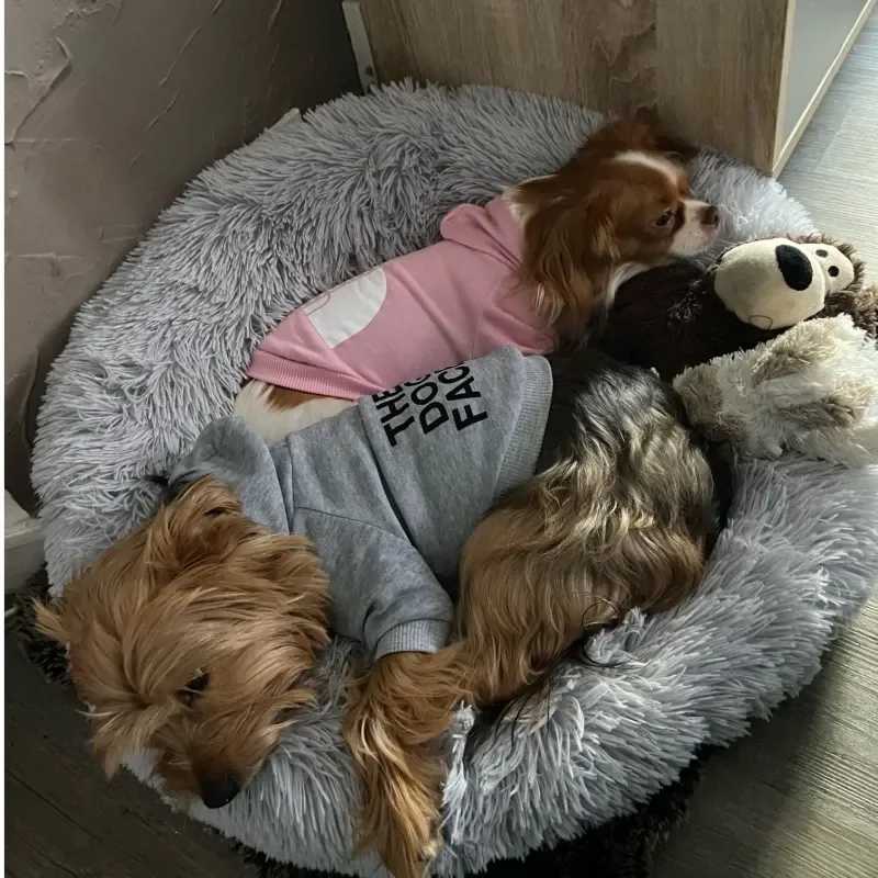 Dog Clothes Hoodies The Dog Face Wind Coat Warm for Small Large Dogs Jacket Sweatshirt French Bulldog Jacket Clothing SuppliseXJ241125