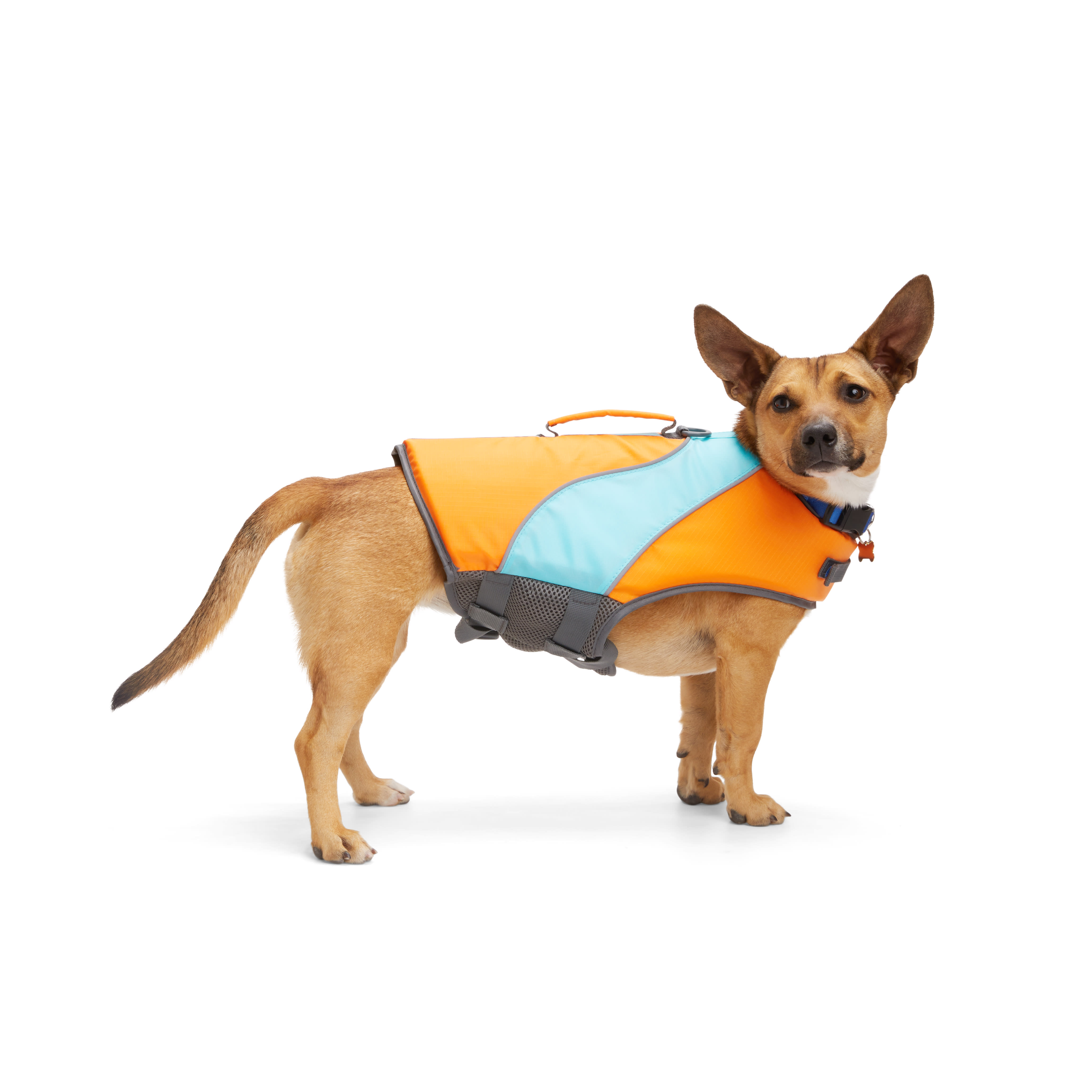 YOULY Orange/Blue Dog Float, X-Small