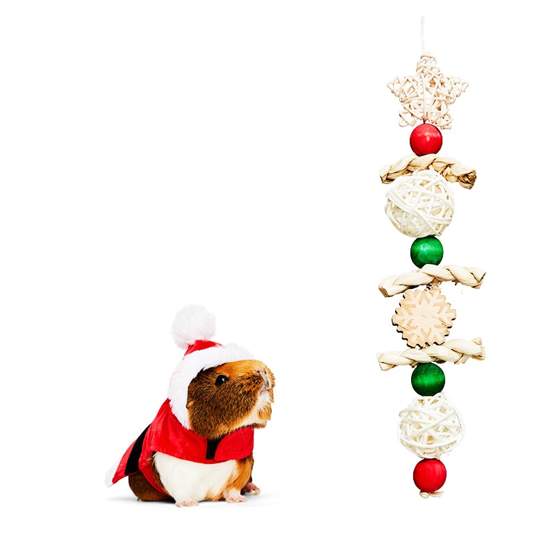 Merry Makings Santa Costume for Small Animals, Red