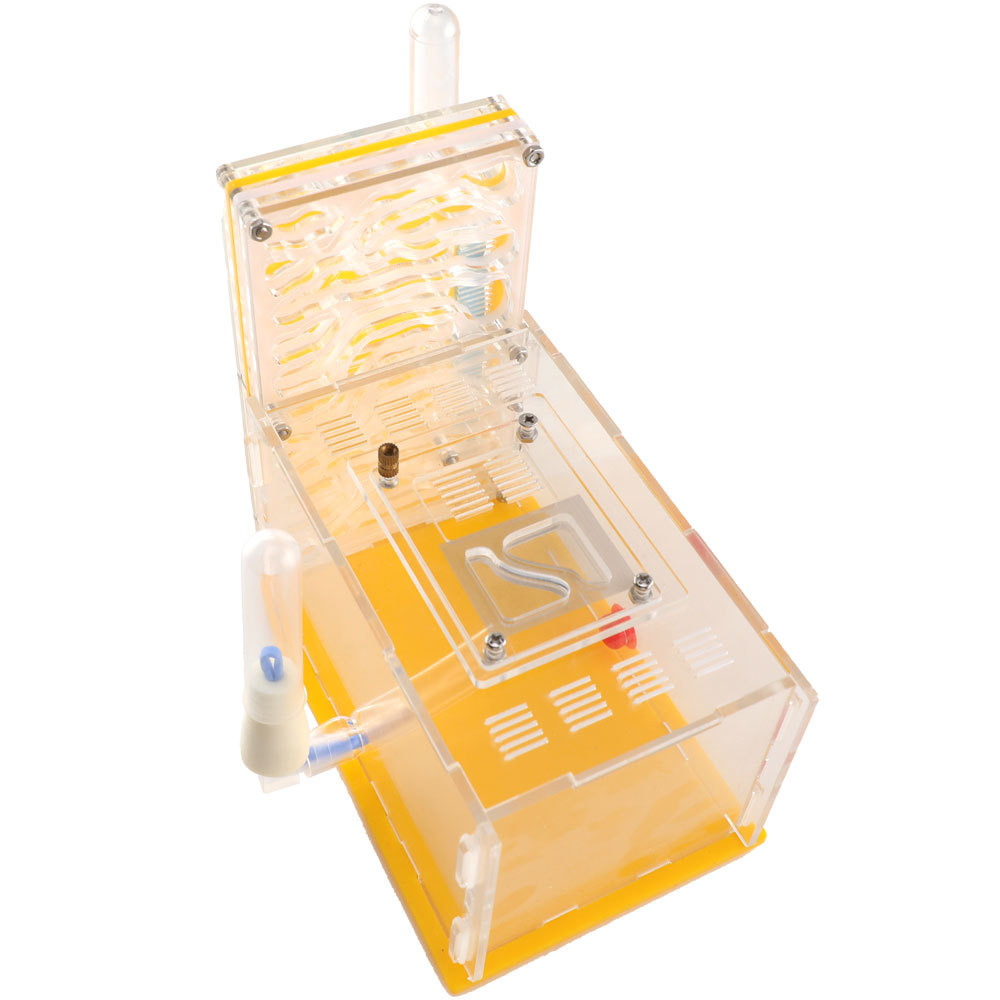 DIY large acrylic ant farm with feeding area large ant house ant nest villa anthills workshop