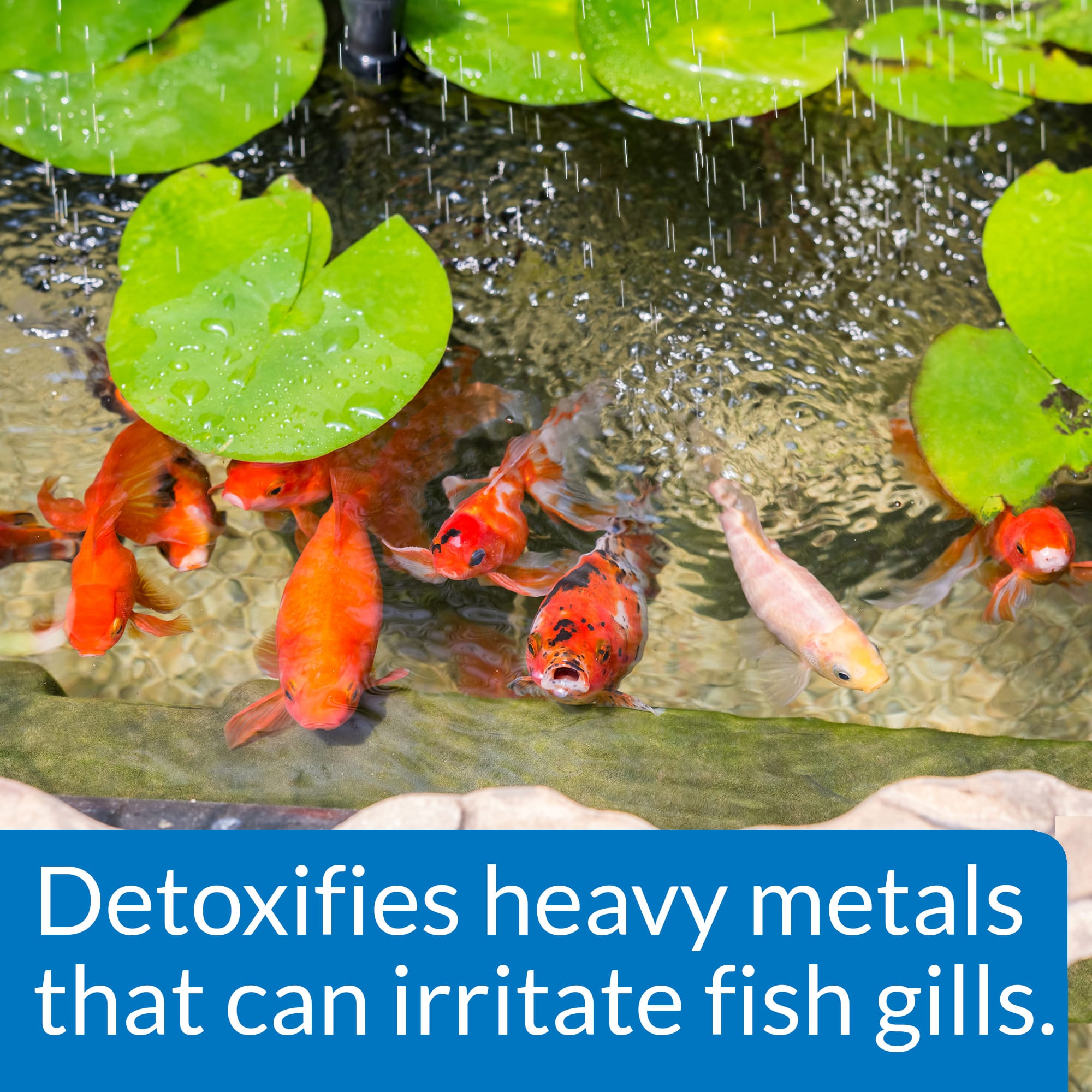 PondCare Chlorine & Heavy Metal Neutralizer