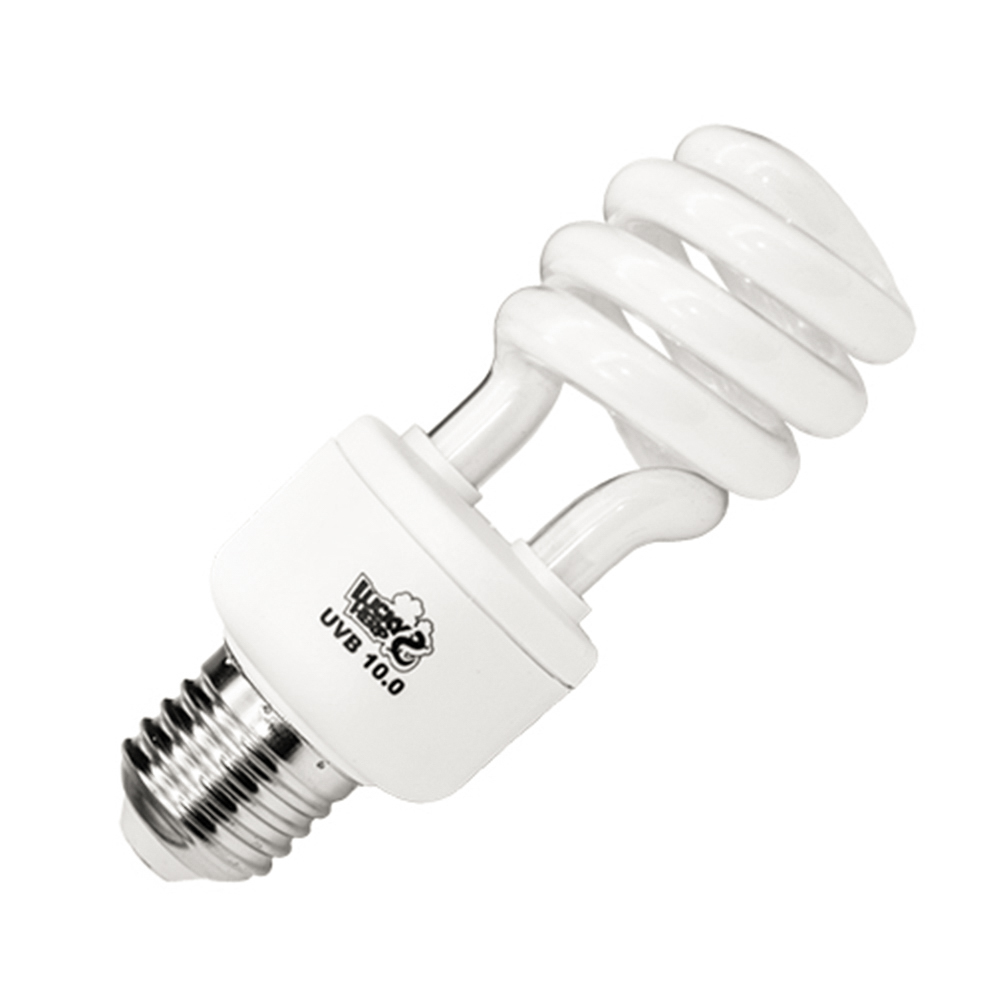 compact fluorescent reptile lamp 10% uva uvb terrarium warm light/bulb for lizard 13w