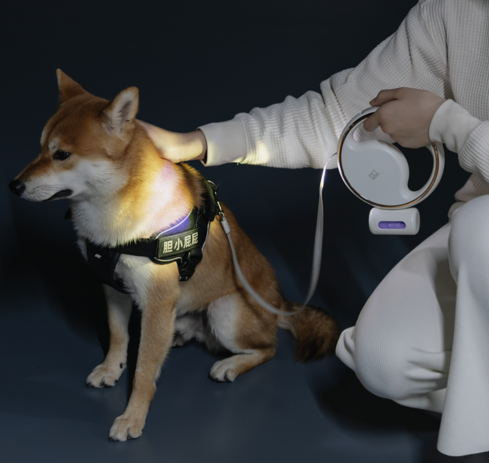 2023 New Designed Dog Leashes equipped with 500mAh battery for LED Torch Light Pet Rope 3 Meters Length for Outdoor Dog Walking