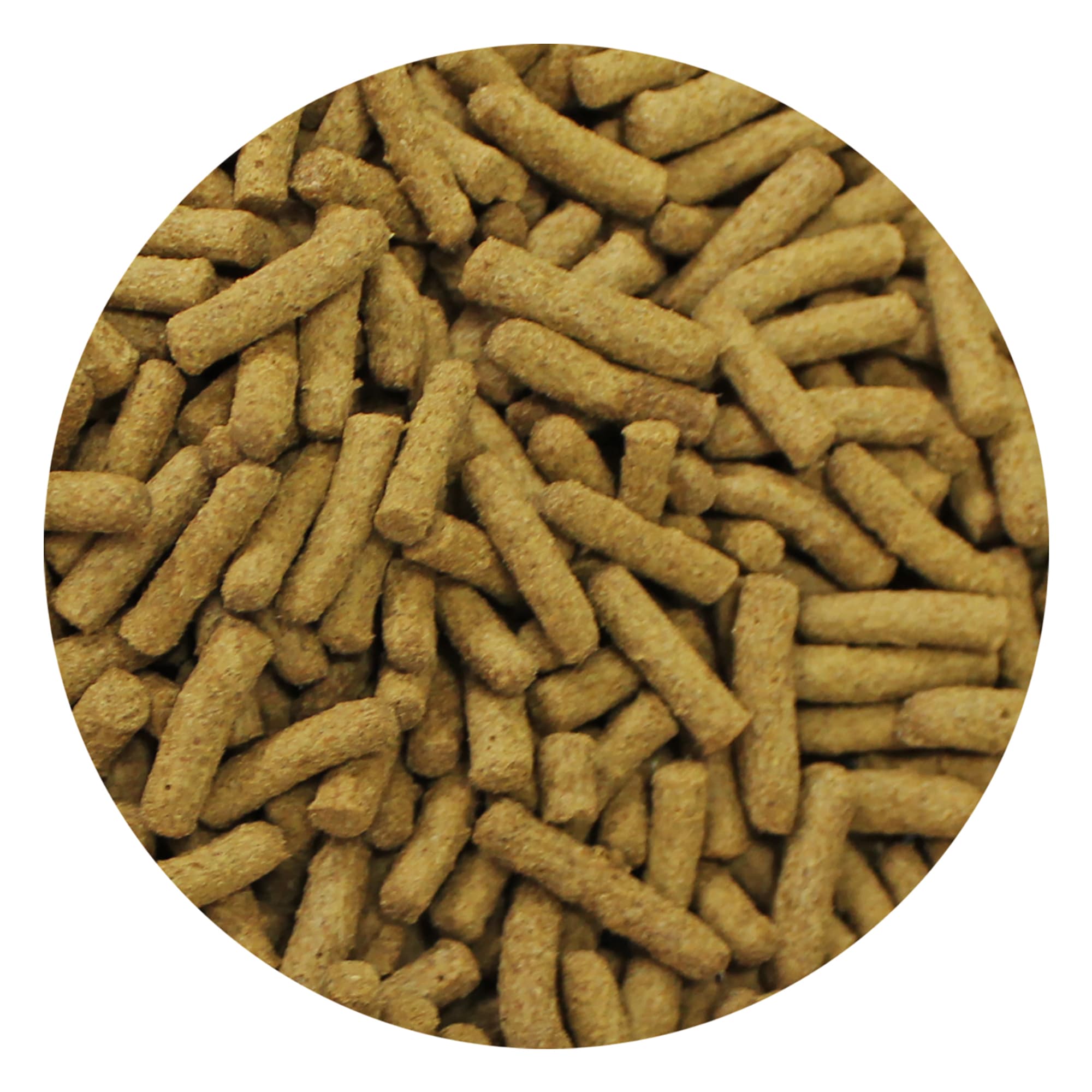 Exotic Nutrition Premium Insectivore Diet Small Pet Food, 1.25 lbs.