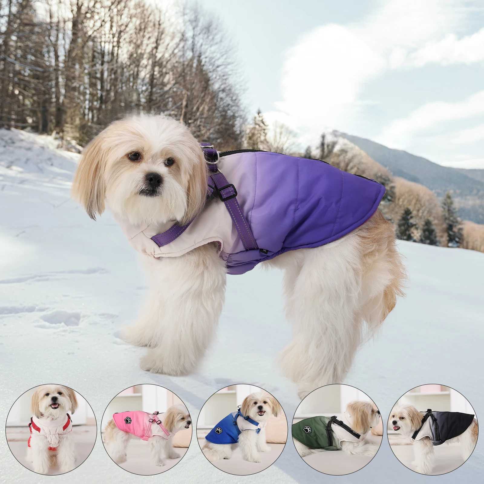 Warm Chihuahua Dog Cat Clothes Winter Small Dogs Puppy Coat Thick Cotton Pet Jacket With Zipper Outfits Clothes With HarnessXJ241125
