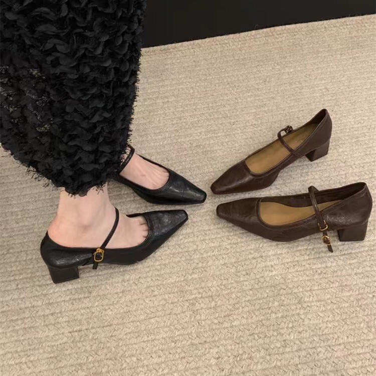 High heeled Mary Jane shoes with pointed toe and shallow mouth, spring 2024 new thick heels, French style with skirt temperament, single shoes for wom