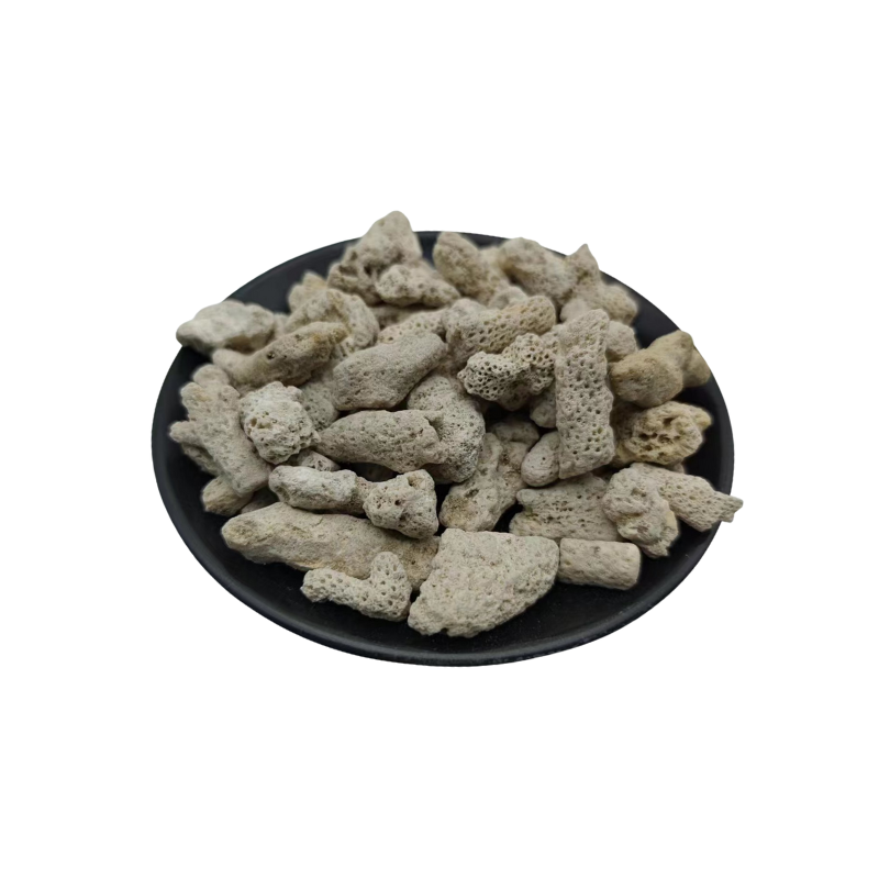 white coral sand High quality philippines coral sand for aquariums Factory direct sales taiwan coral sand