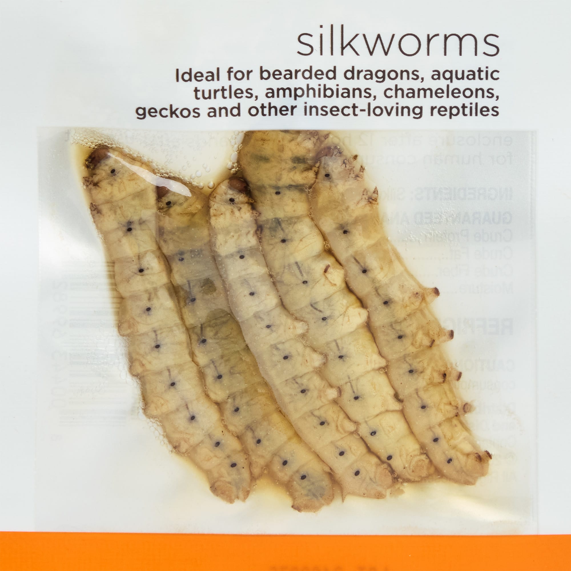 Imagitarium Silkworms, 0.3 oz., Count of 5