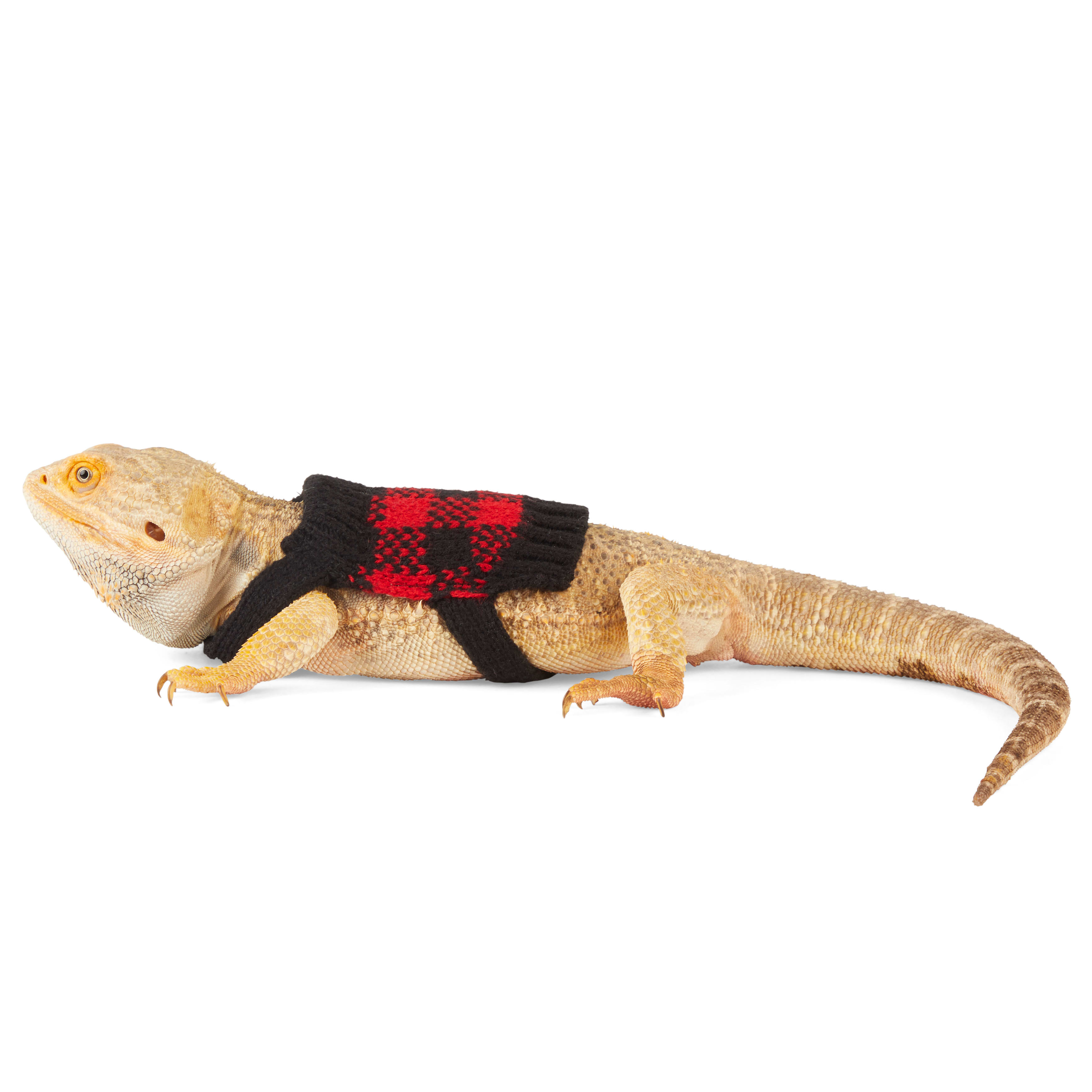 Merry Makings Buffalo Check Sweater for Reptiles, Red