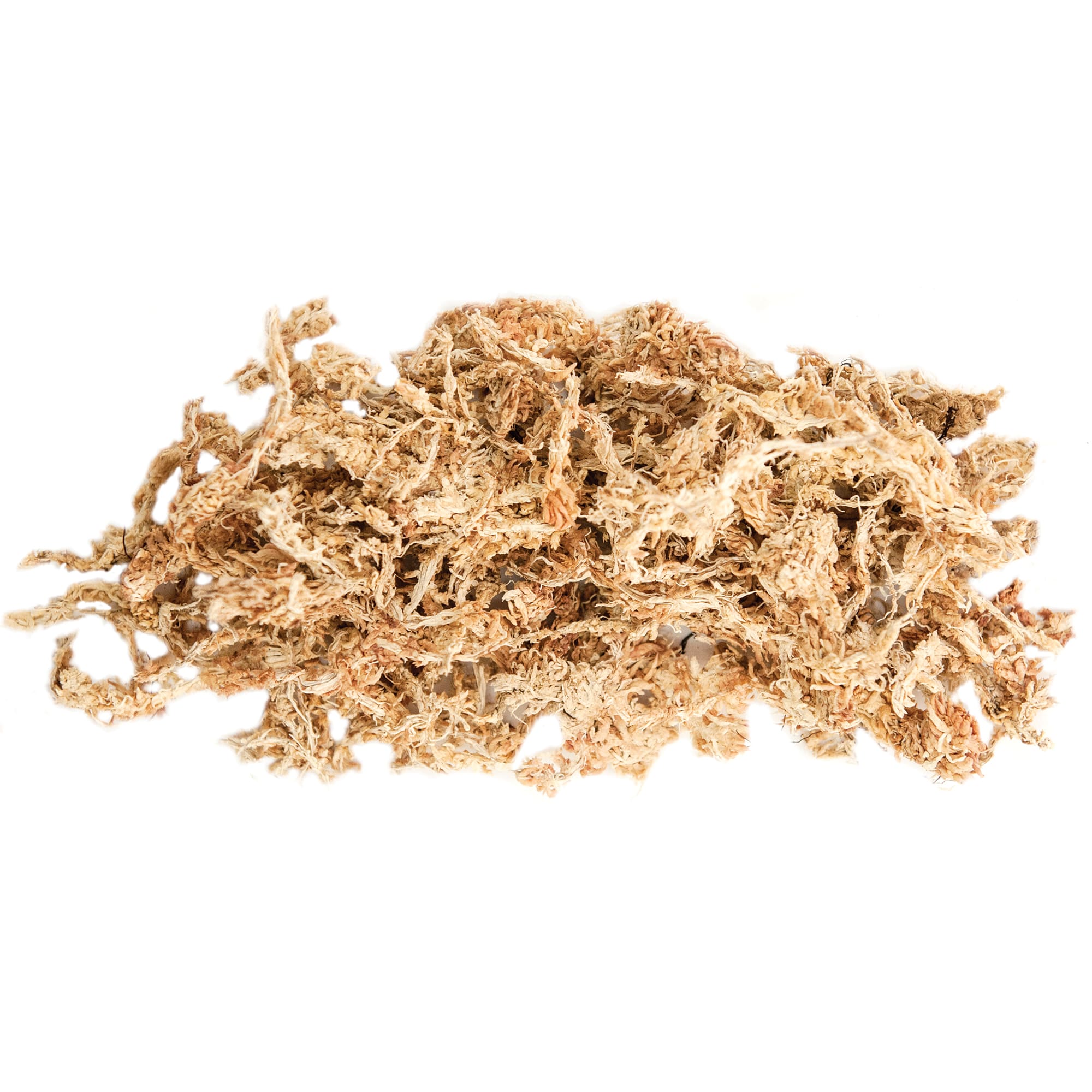Galapagos Terrarium Sphagnum Moss Golden, 150 Cubic Inch