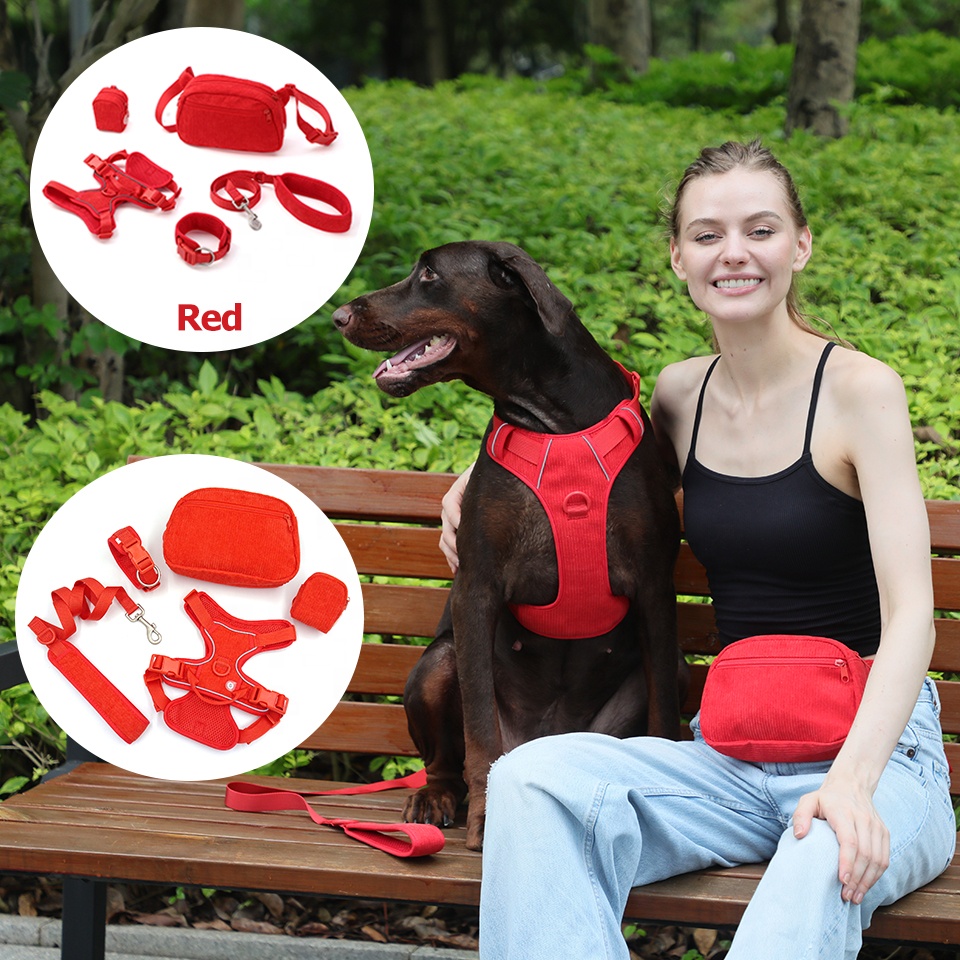 New pet products 2024 high quality corduroy dog pet collars leashes harnesses luxury dog poop bag holder soft nylon dog collar