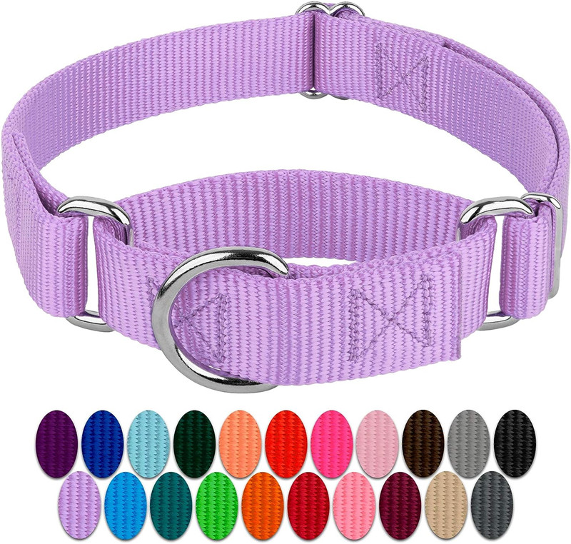 Wholesale China Pet Collars Adjustable Nylon Heavy Duty Martingale Dog Collar For Dogs walking jogging training