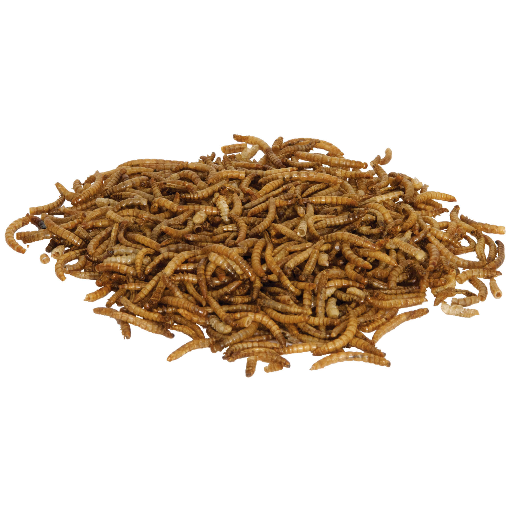 Zilla Munchies Mealworms Reptile Food, .5 oz.