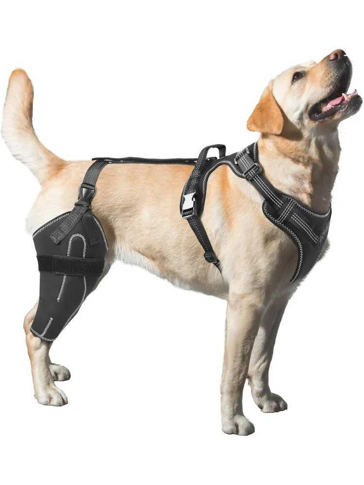Dog knee brace for tearing Acl legs used to warm joints and relieve joint pain in the back for better recovery X241125