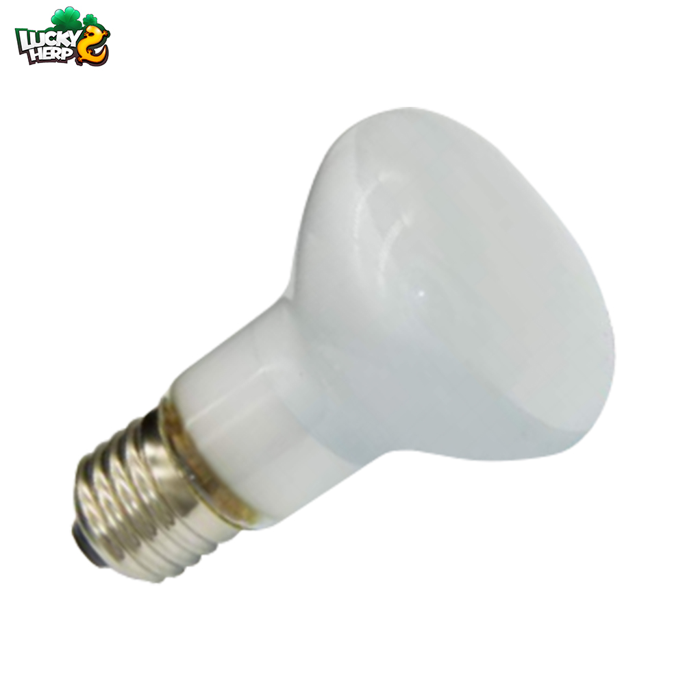 Lucky herp Factory price 25w 50w 75w 100w basking bulb heating lamp for reptile with CE ROHS
