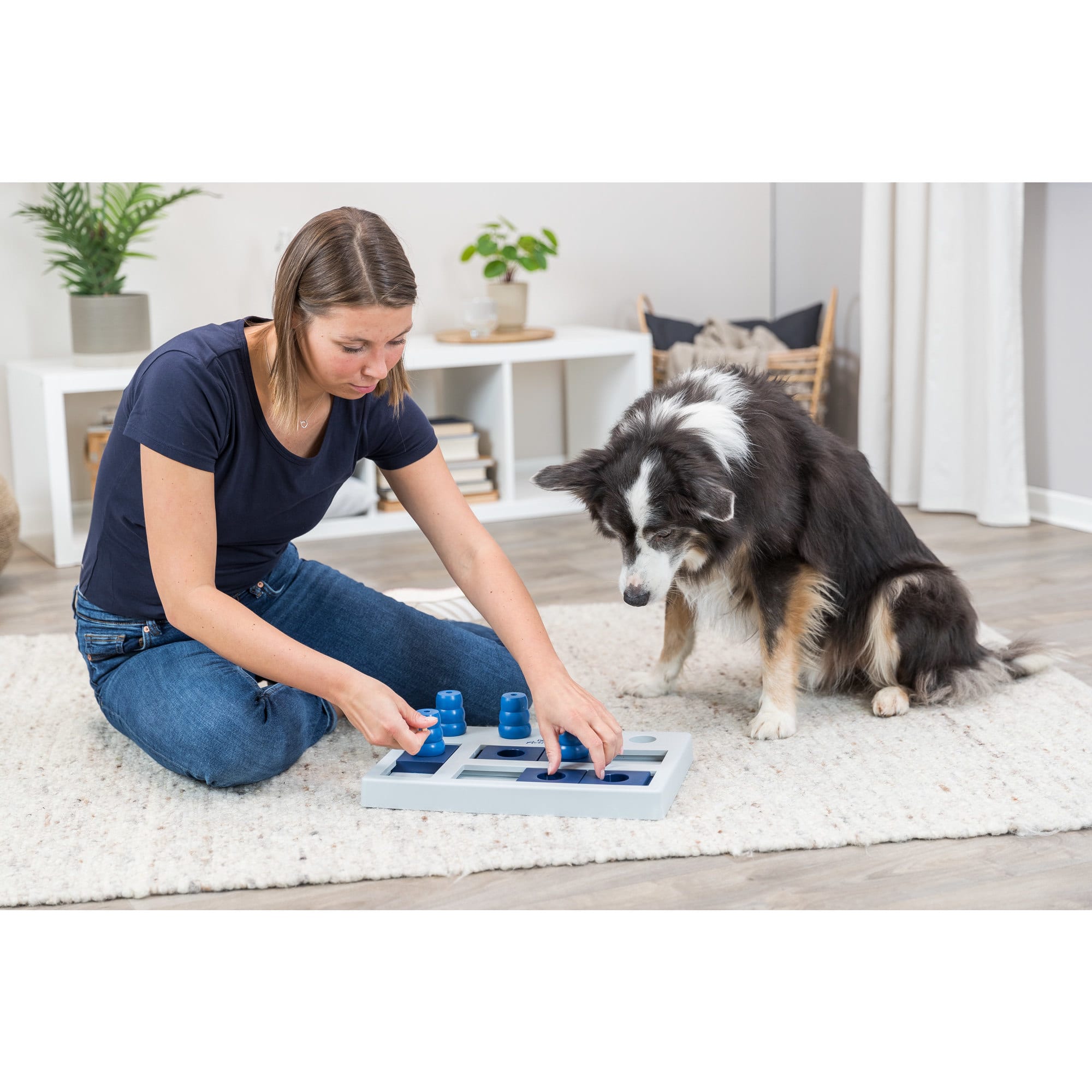 TRIXIE Activity Chess Dog Toy, 15.75" L X 10.5" W X 3.75" H