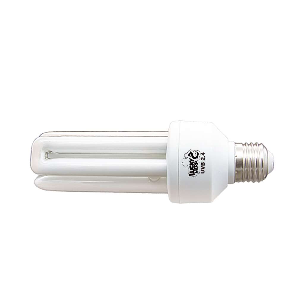 20w Bird 2.0 uvb uva compact fluorescent lamp light bulb 2 in 1