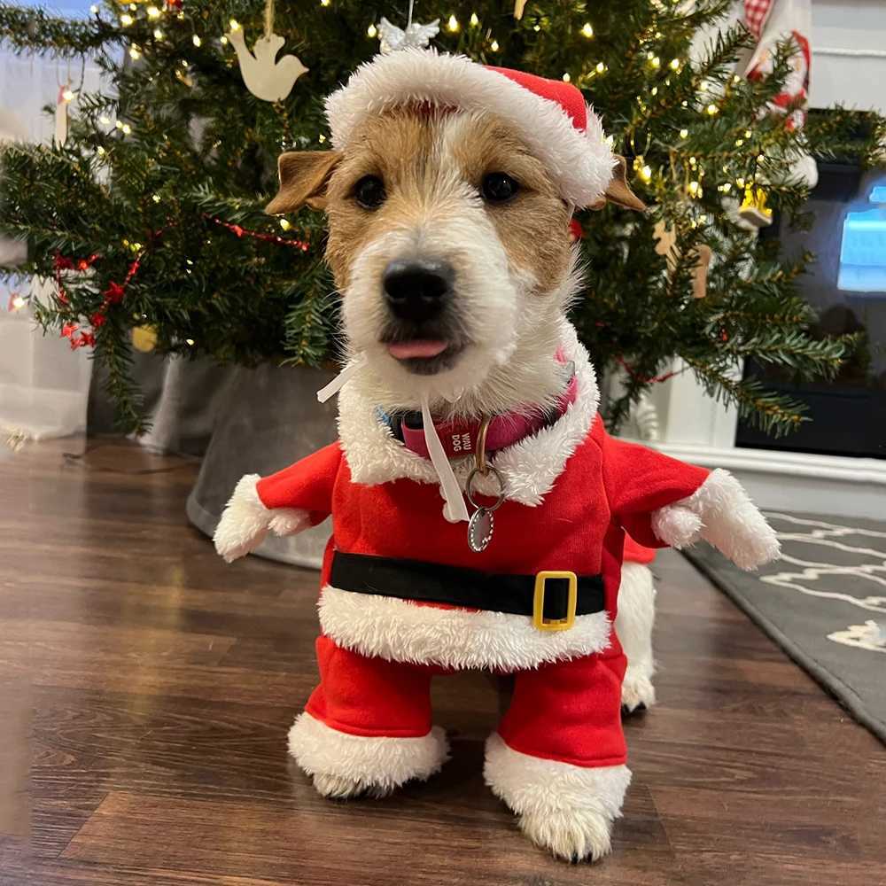 Christmas Clothes For Dogs Cats New Year Santa Claus Costume Puppy Cosplay Clothing Funny Pet Dress Up Suit Holiday Party OutfitXJ241125