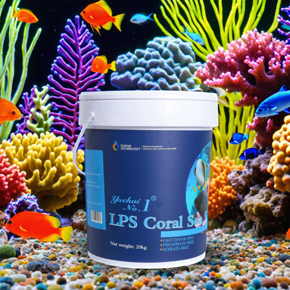 2024 New High Quality Saltwater Aquarium Filter Tank Live Reef Fish LPS Plastic Glass Material Coral Decors Aquaculture Farms